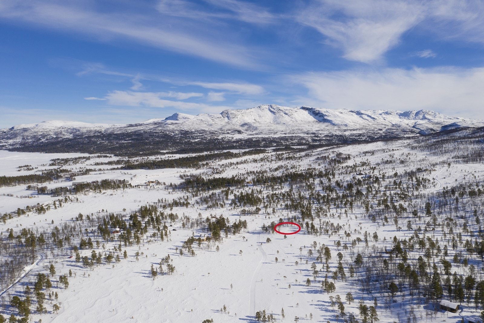 Oversiktsbilde vinter fra vest Galleribilde