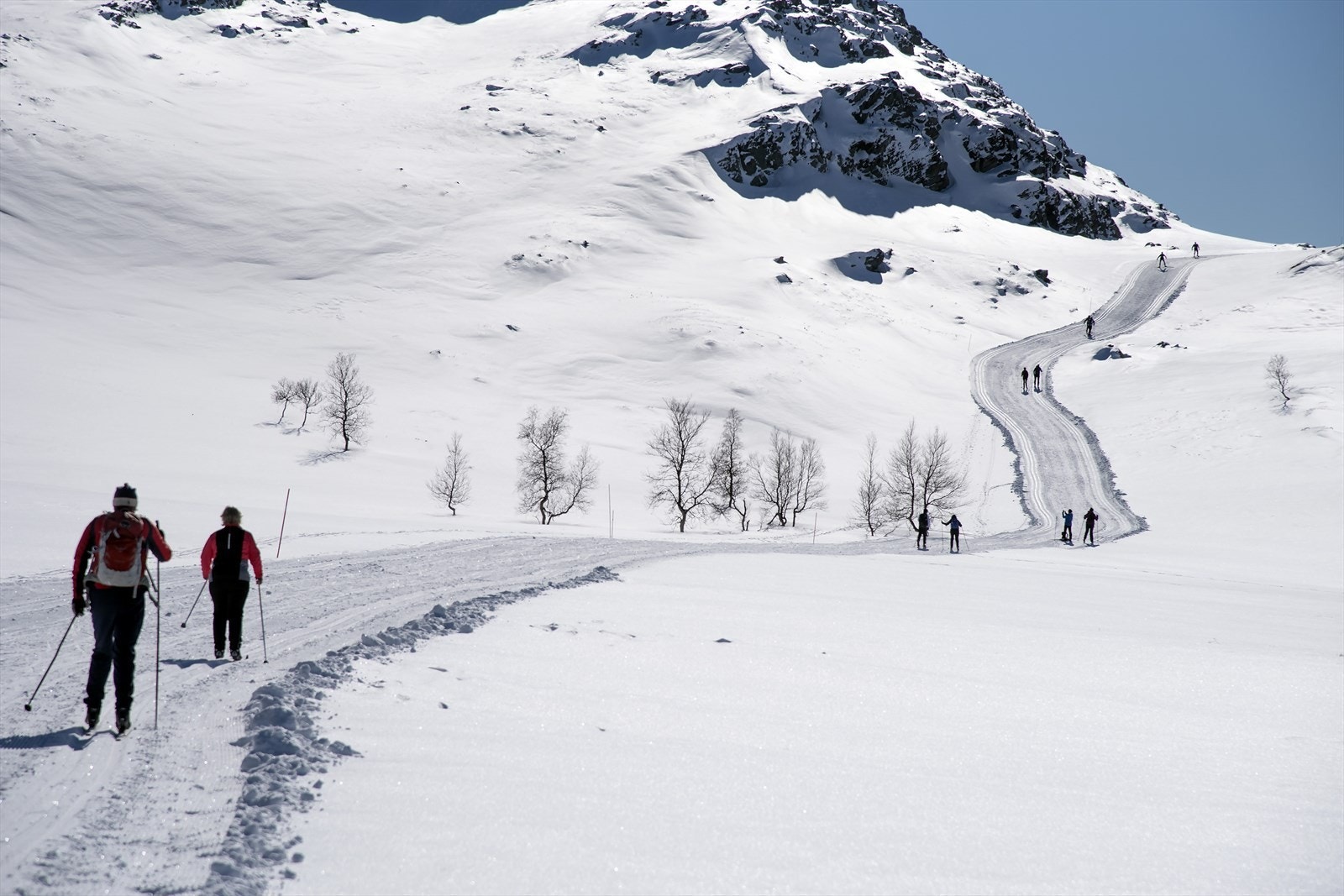 Bilde fra skisporet inn mot Gjevillvassdalen Galleribilde