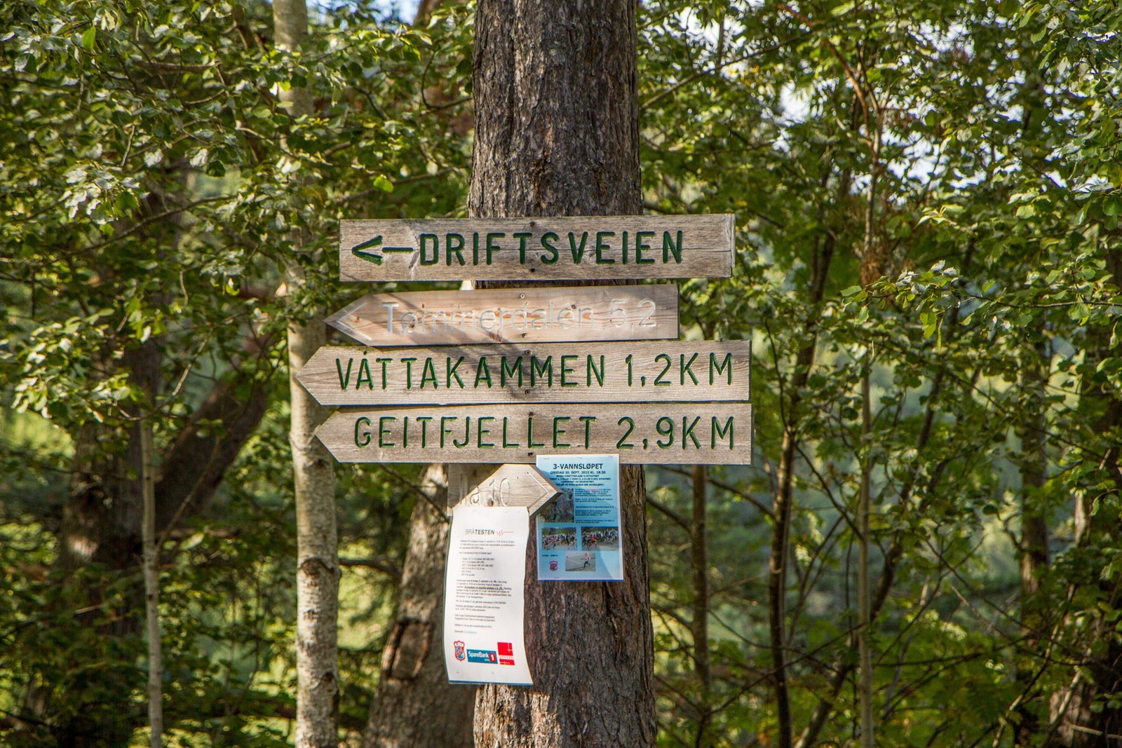 Bymarka med utallige turmuligheter hele året. Galleribilde