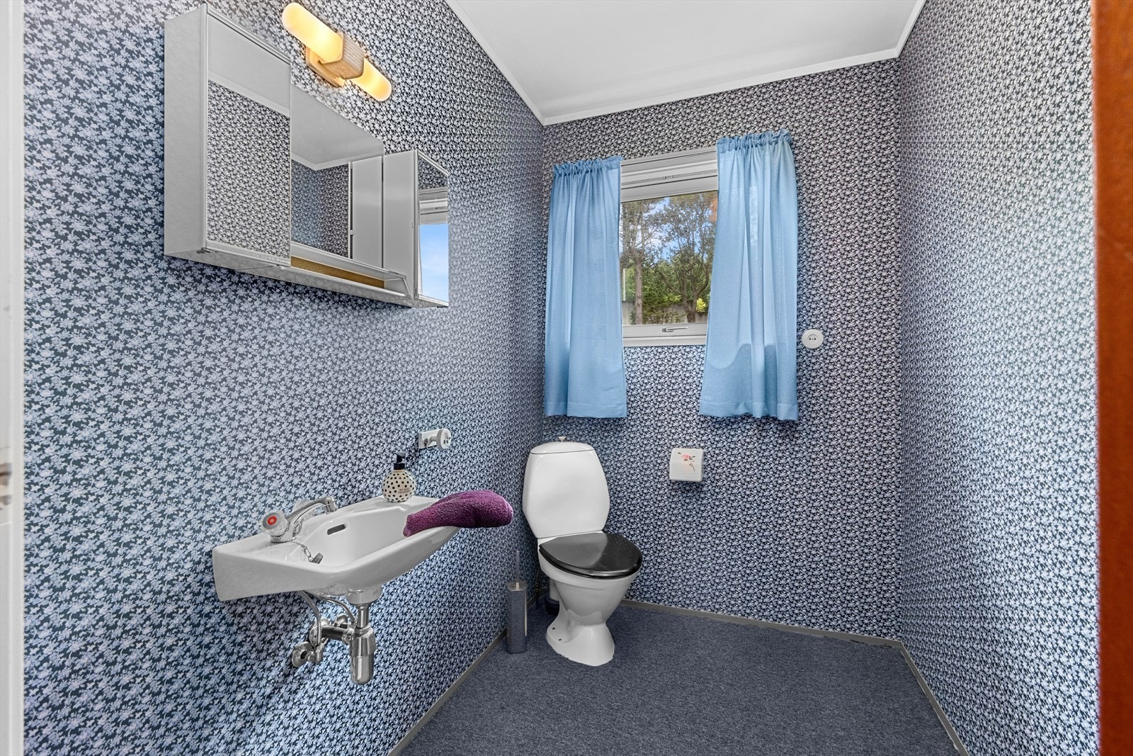 Toalett Galleribilde