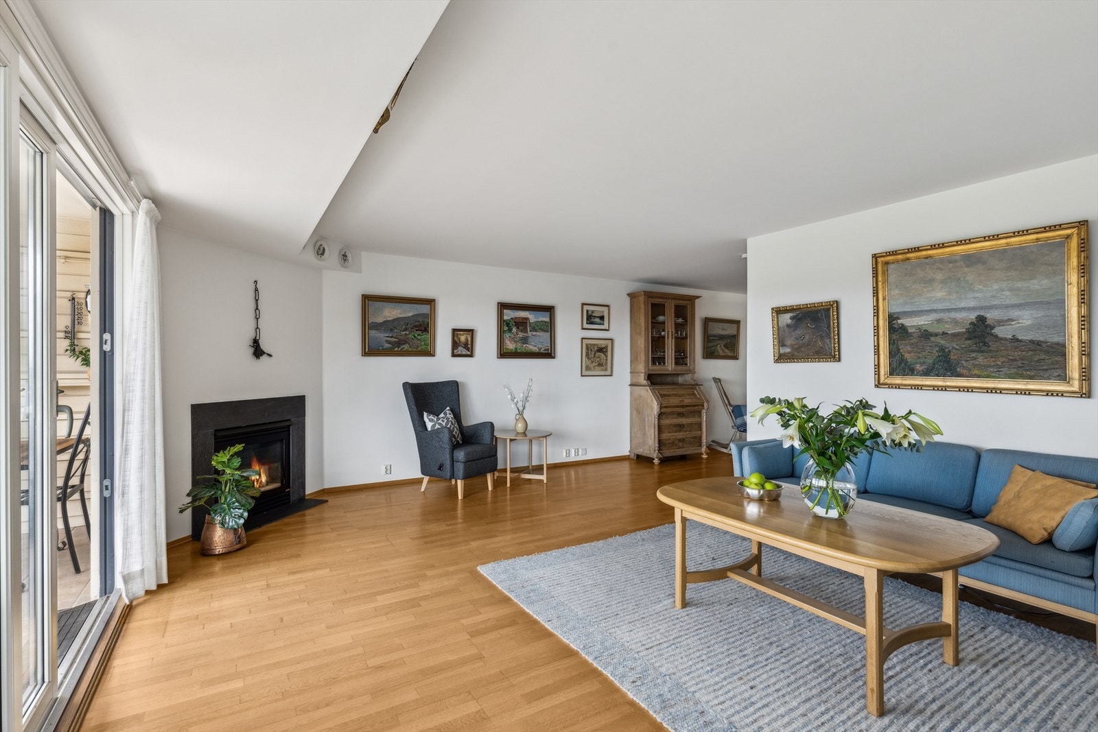 Stor stue med gasspeis Galleribilde