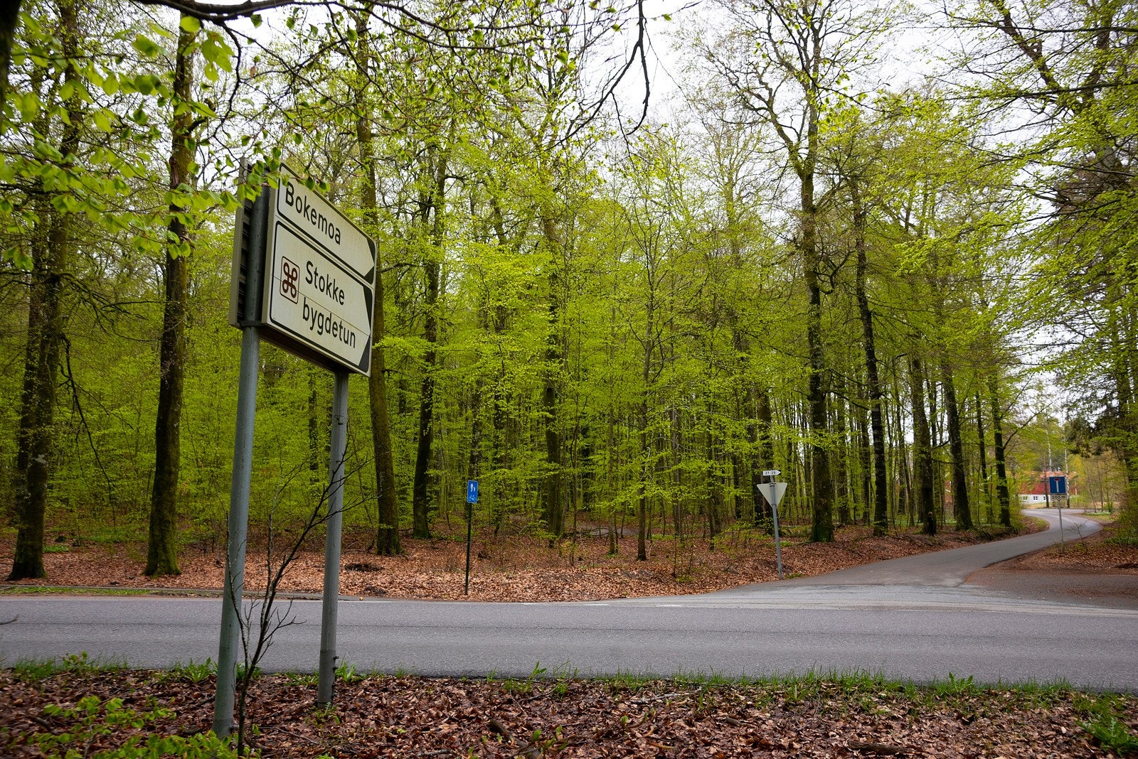 I og ved Bøkeskogen er det orfte et arrrangement og marked, og turstiene kan brukes året rundt Galleribilde