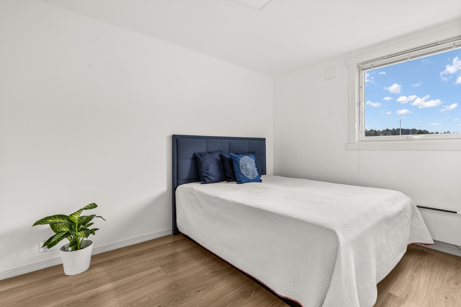 Hovedsoverommet | Rommet er av god størrelse med plass til romslig dobbeltseng med tilhørende nattbord Galleribilde