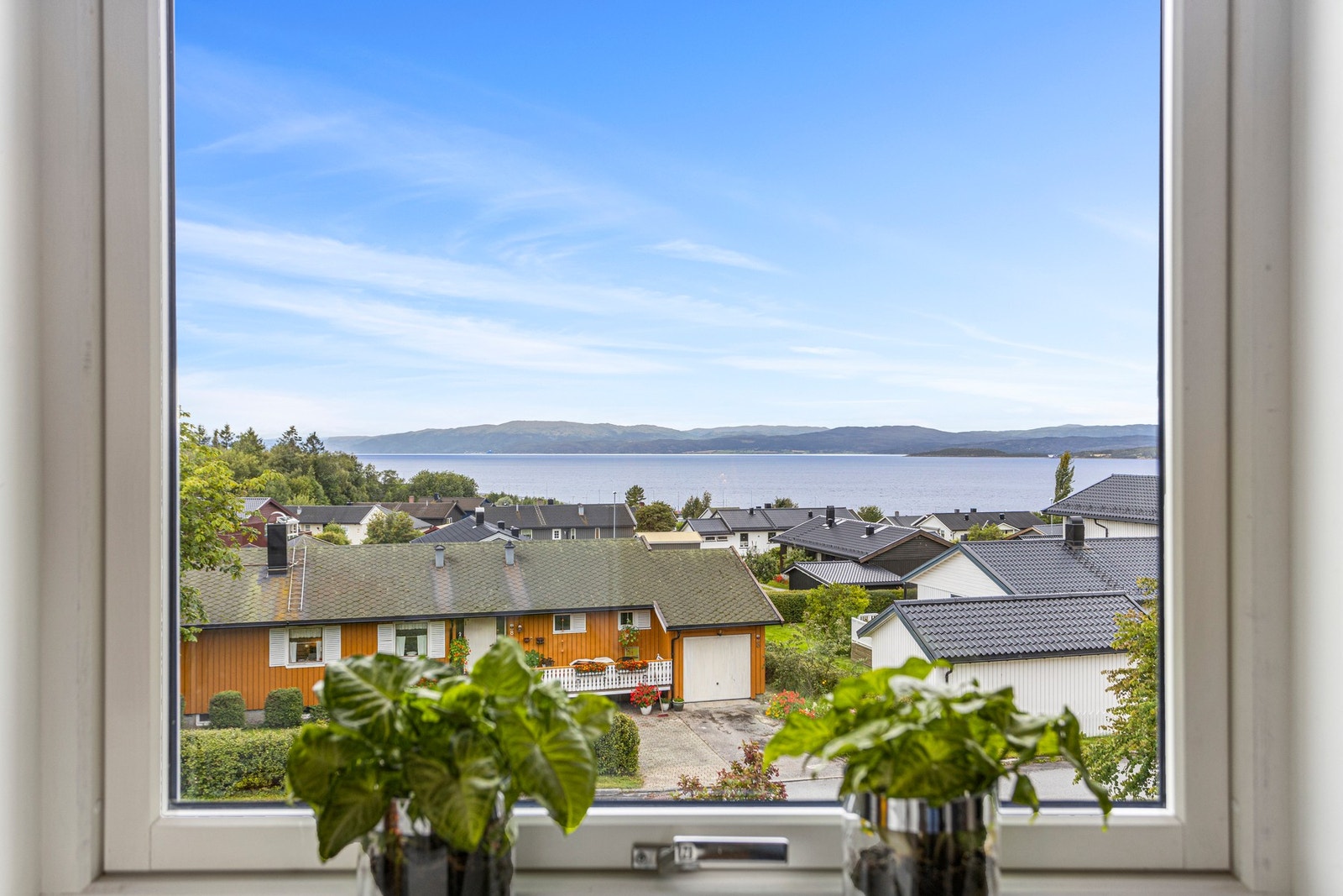Lekker utsikt! Galleribilde