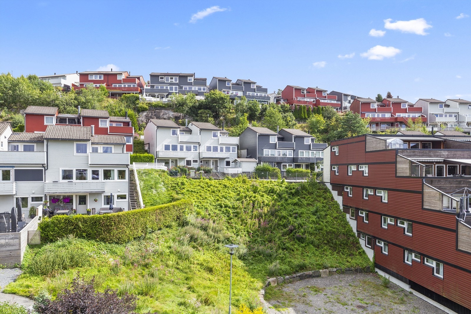 IMG_2956 Galleribilde