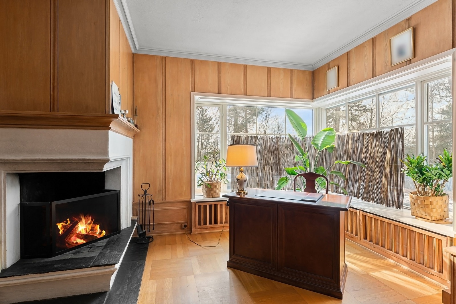 Bibliotek med ildsted Galleribilde