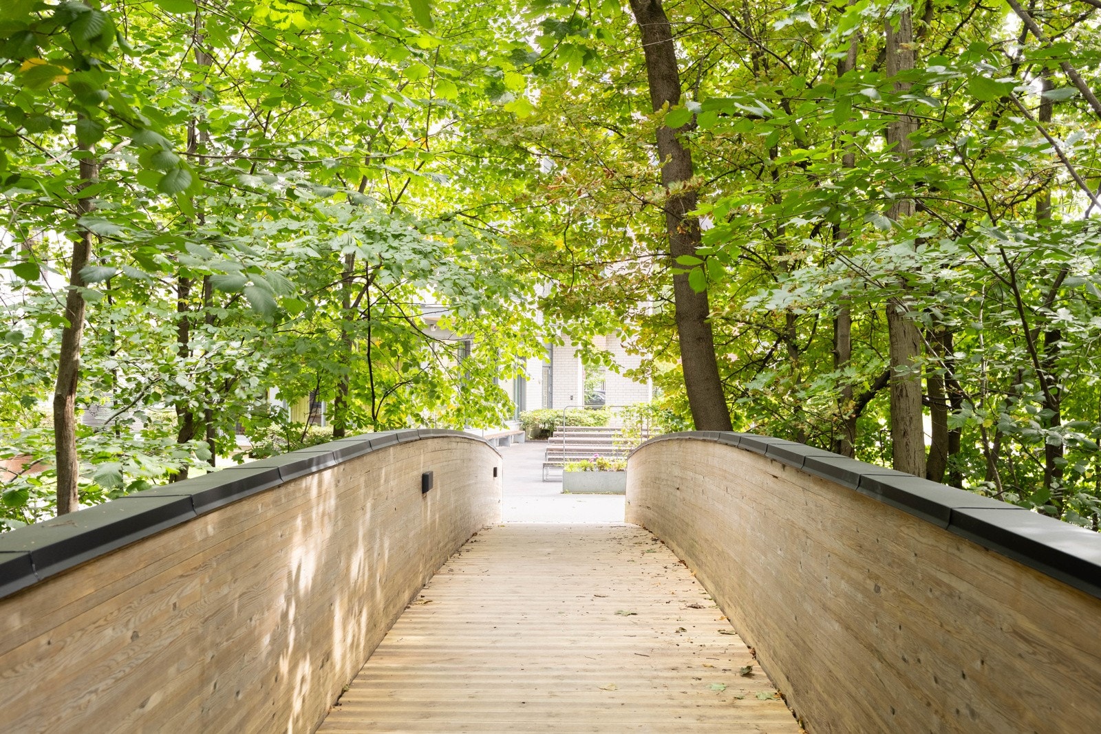 Nærområdet. Galleribilde