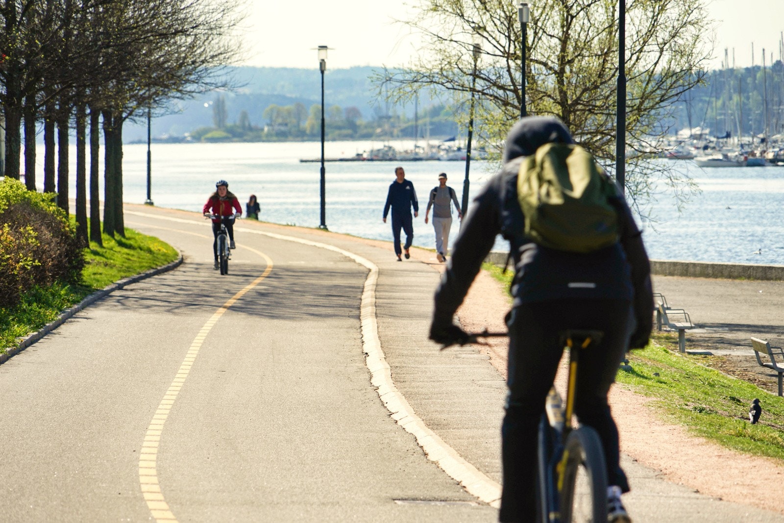 Frognerkilen. Galleribilde