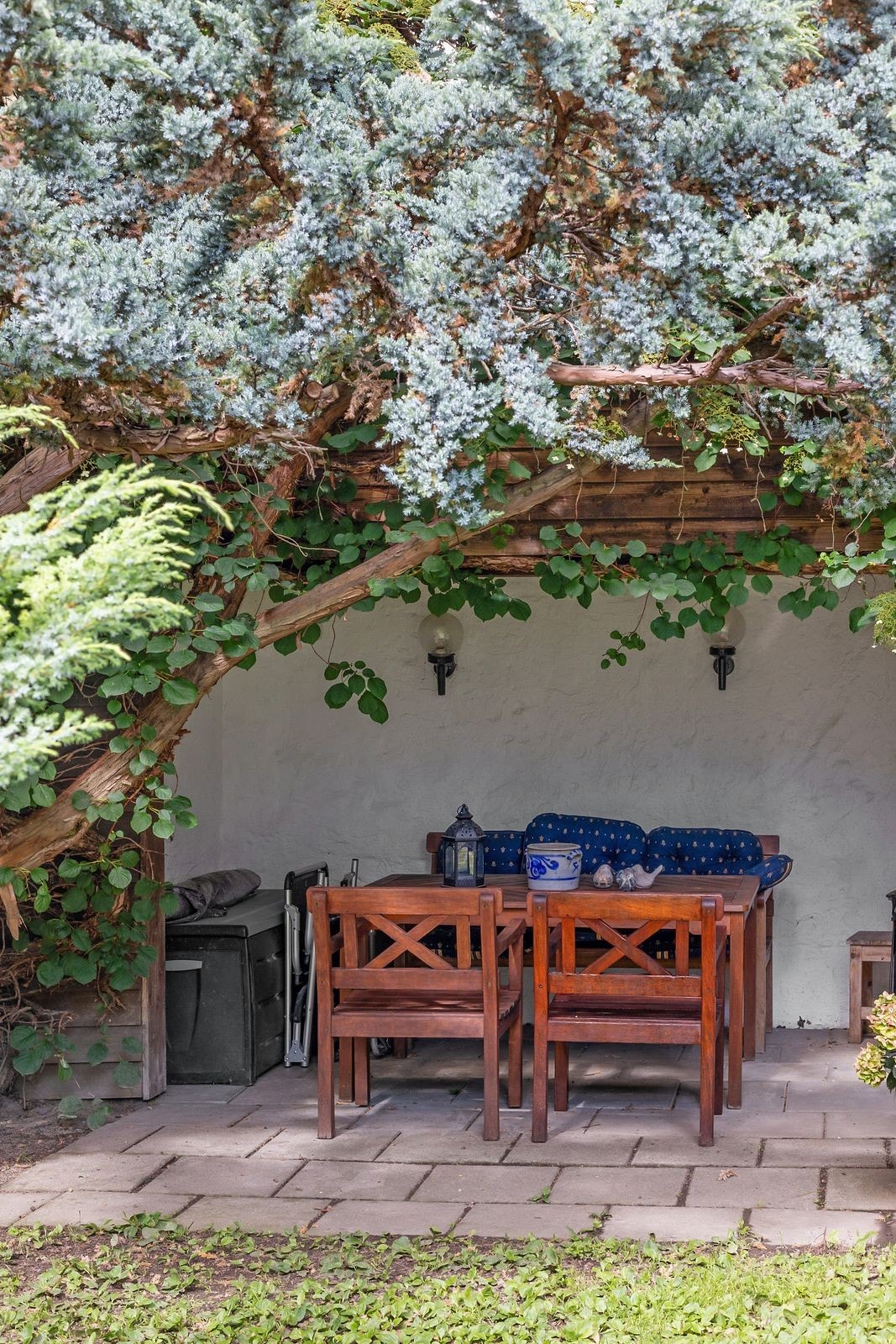 Bakgården er trygg og avlukket og godt ivaretatt med blomster og vekster (rips, kirsebær, rabarbra etc). Galleribilde