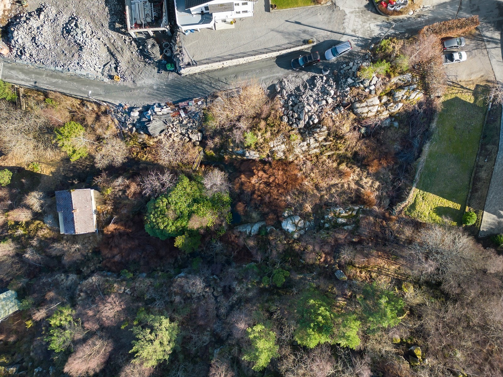 Oversiktsbilde over tomten. Galleribilde