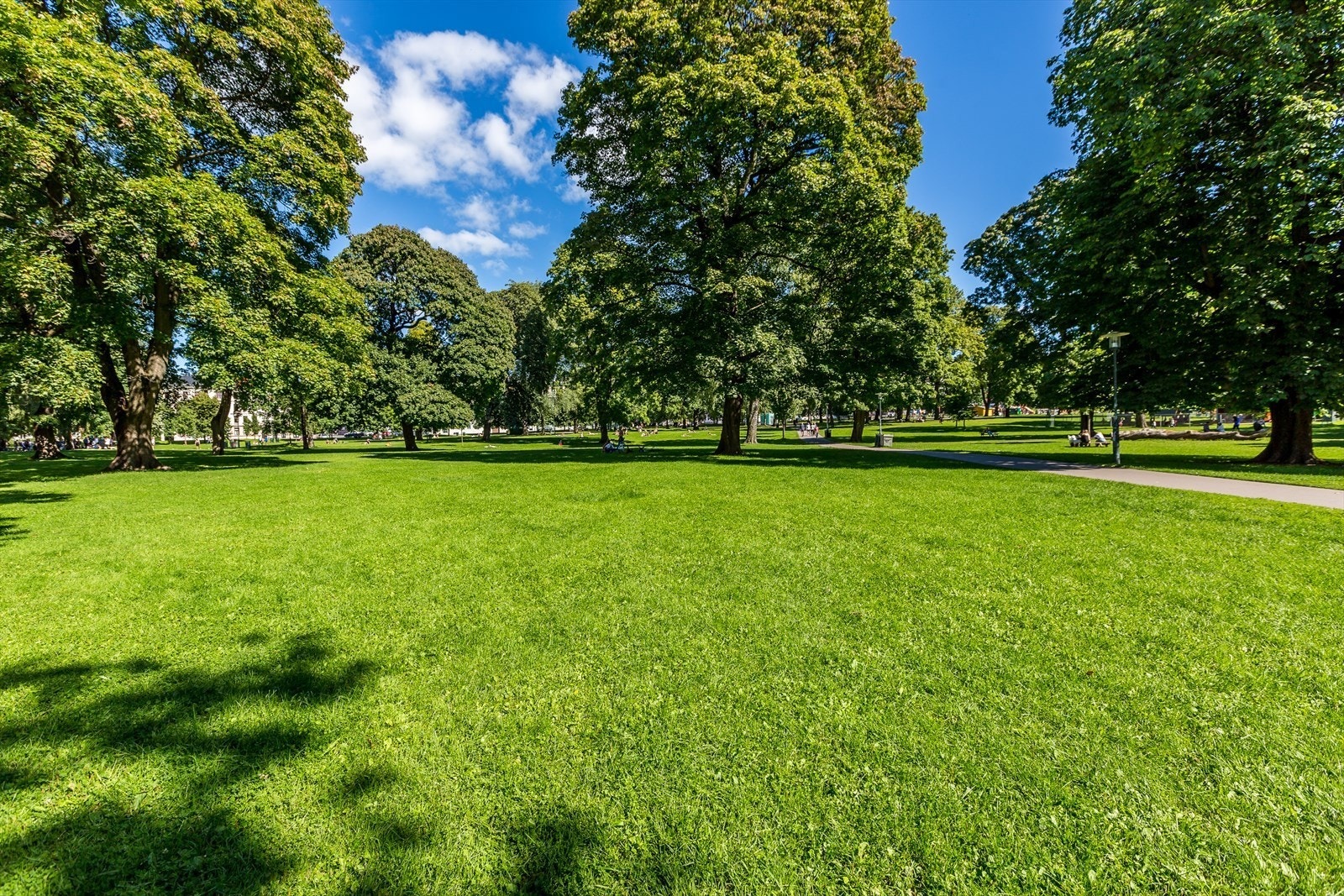 Populære Sofienbergparken som nærmeste nabo, kun 100m fra leiligheten. Galleribilde