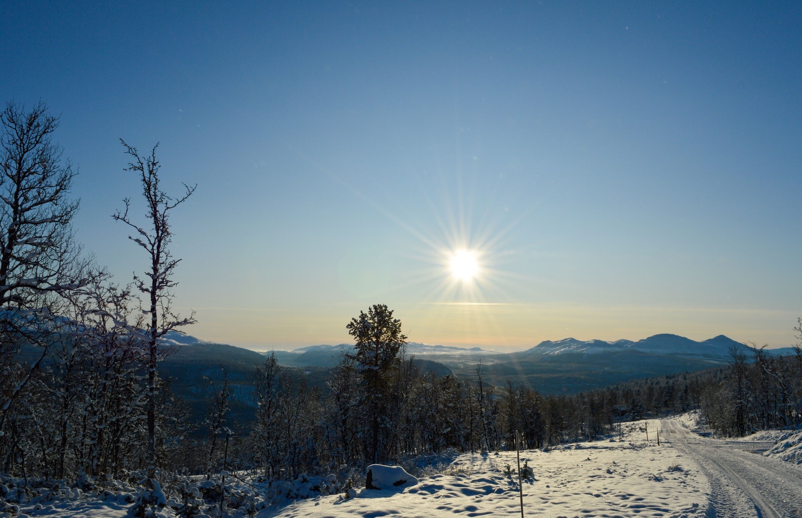 Fra Skardfjellgrenda. Galleribilde
