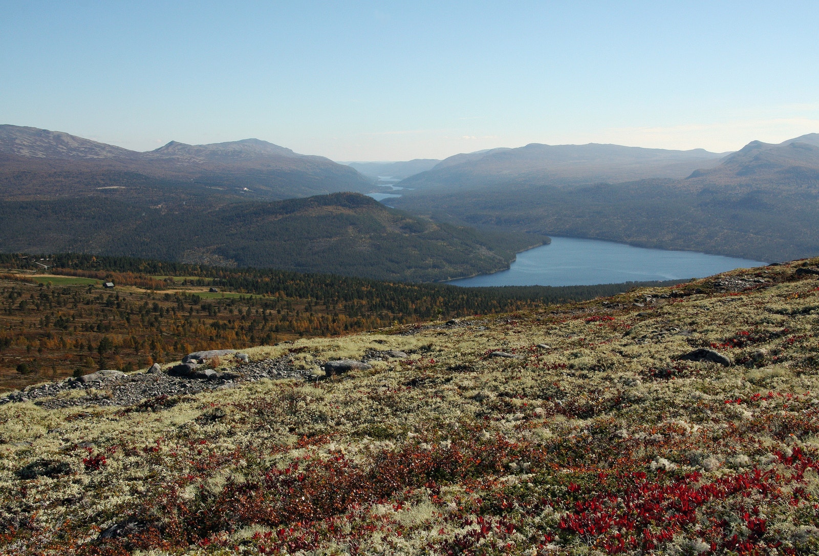 Utsikt til Olstappen og nedover Espedalen fra Skardfjell, som ligger rett bak hyttefeltet. Foto: Anne Mari Lo. Galleribilde