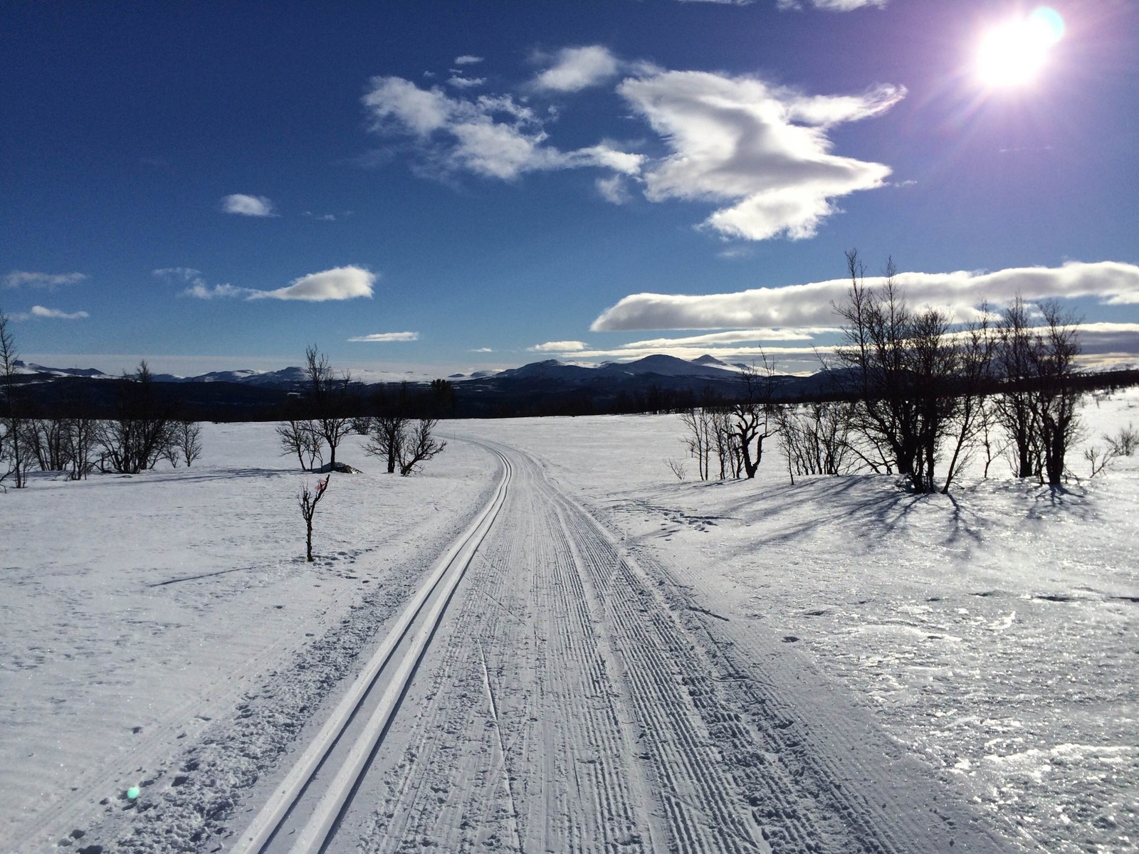Med utsikt til Langsua Nasjonalpark med Storhøa og Storhøpiggen. Galleribilde