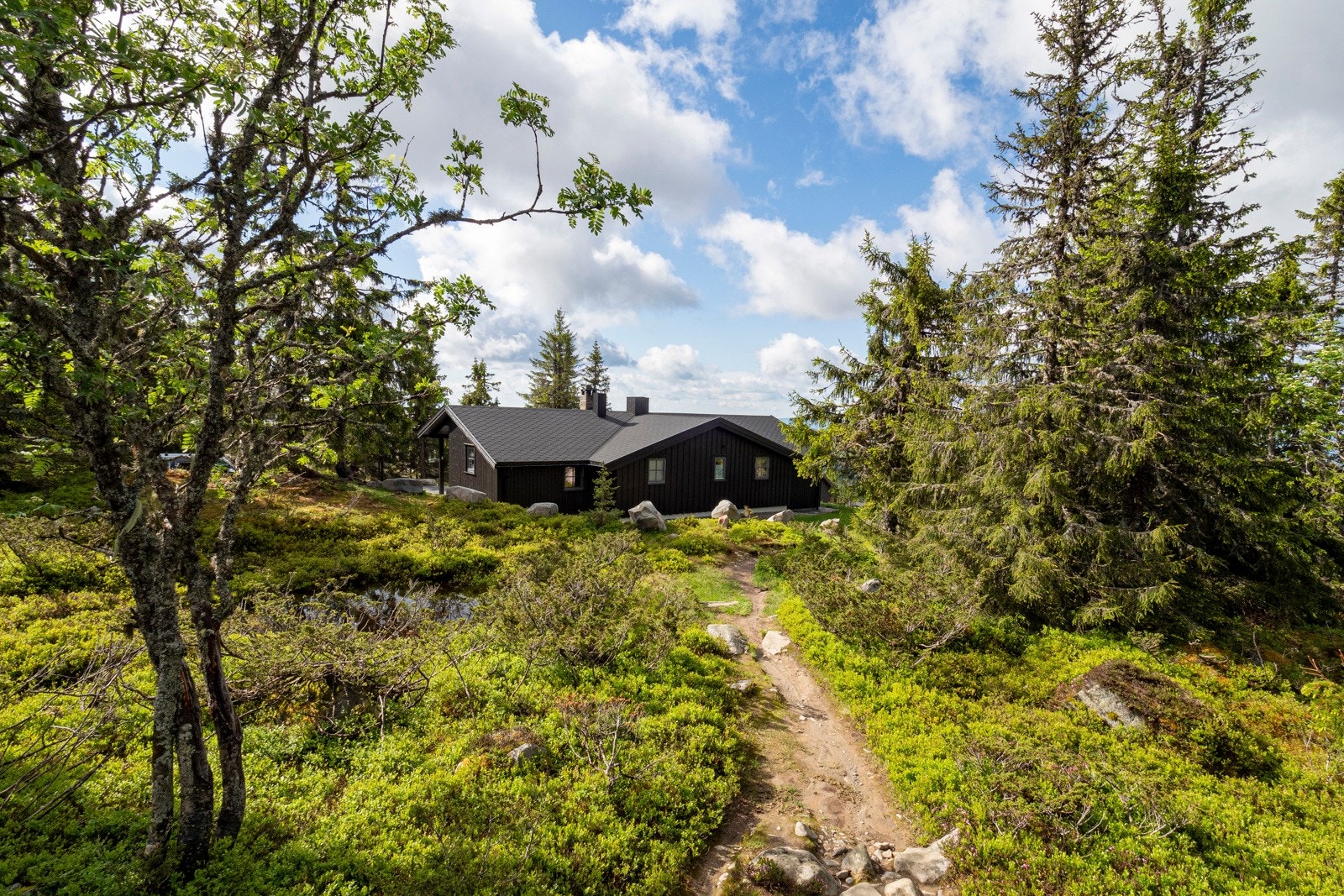 P6069031 Galleribilde