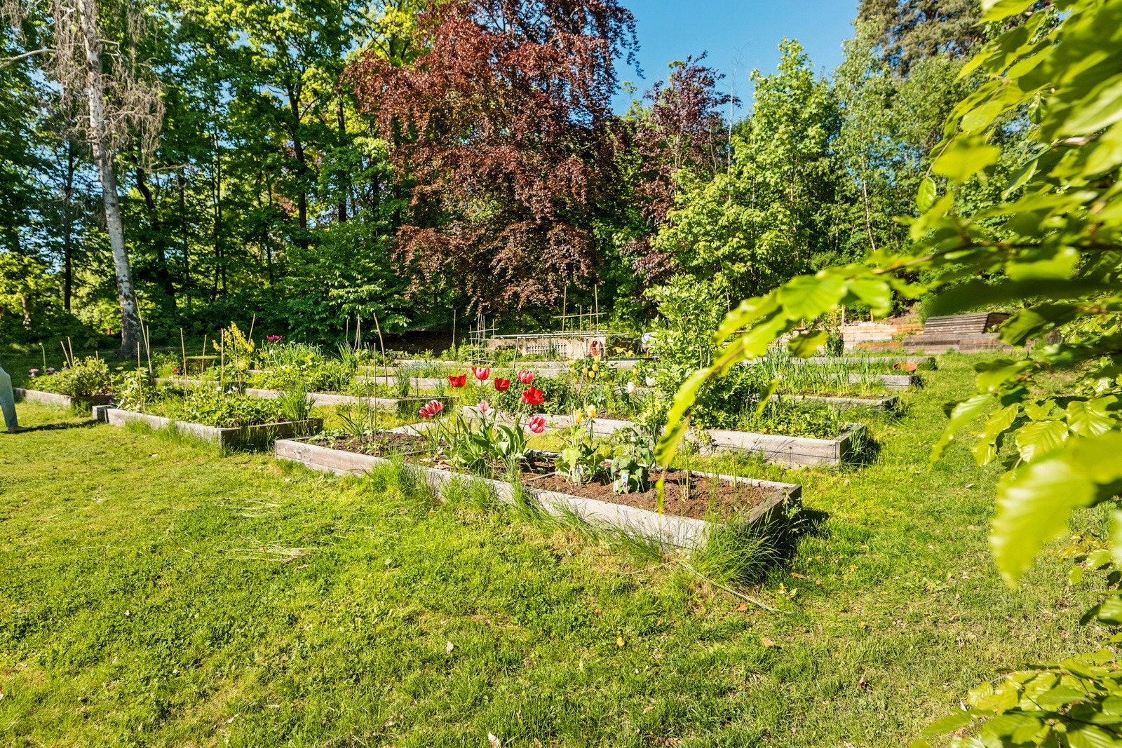 Parsellhagen Casinetto. Galleribilde