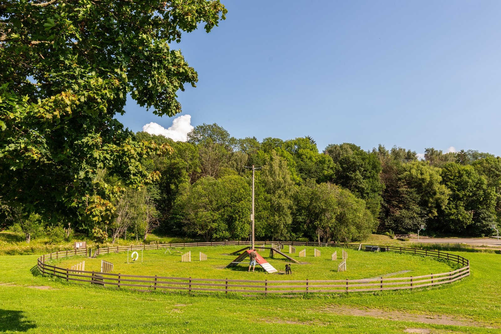Canisbanen mellom Skøyen skole og Frognerparken. Galleribilde