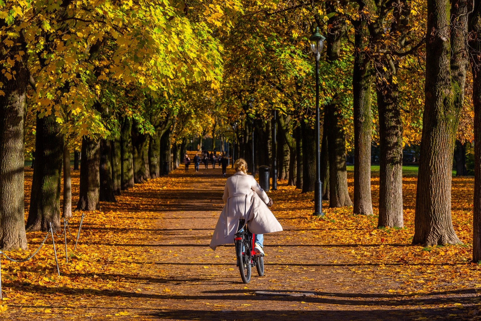 Flotte turmuligheter for alle aldre i Frognerparken. Galleribilde