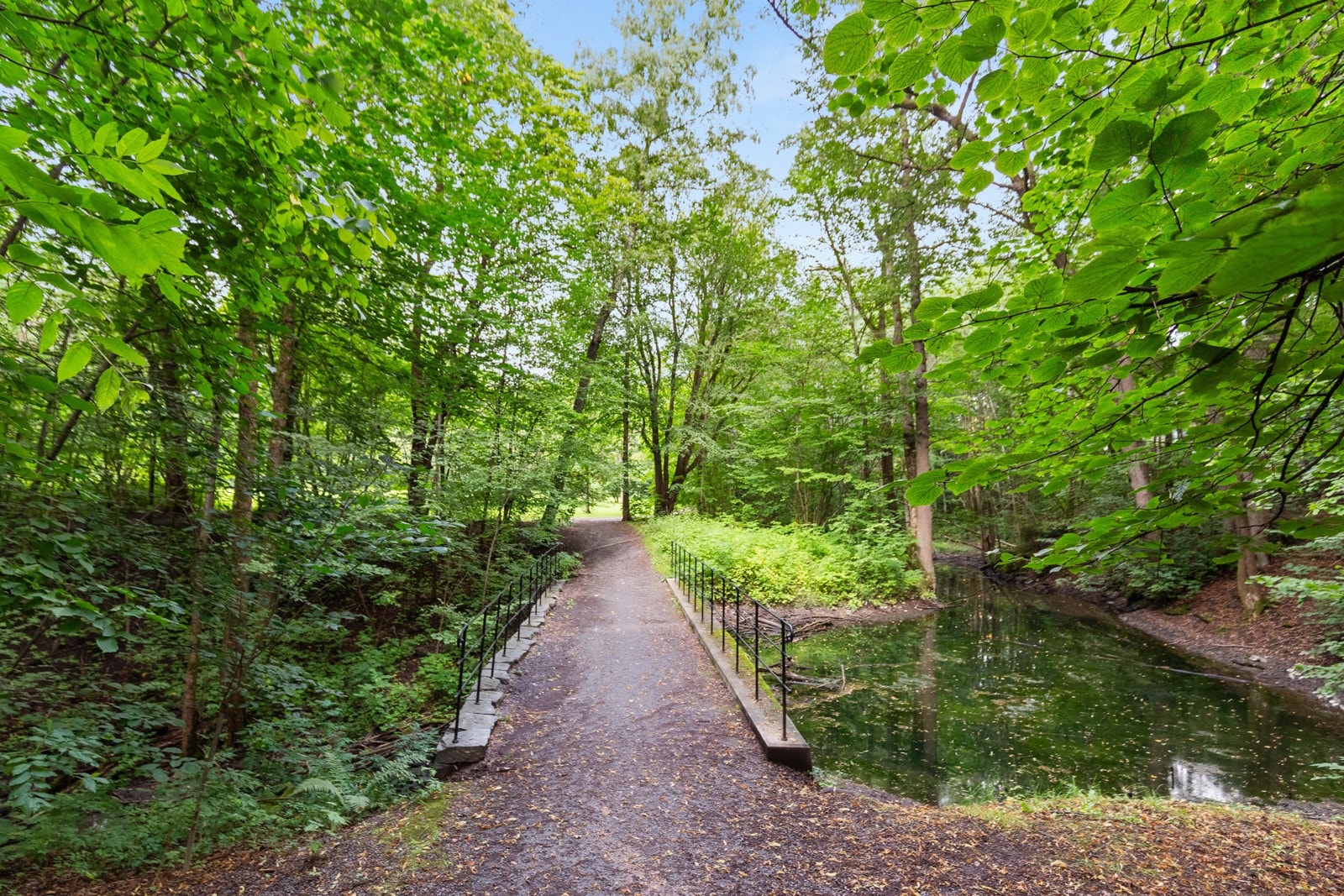 Den Engelske Park grenser til borettslaget. Galleribilde