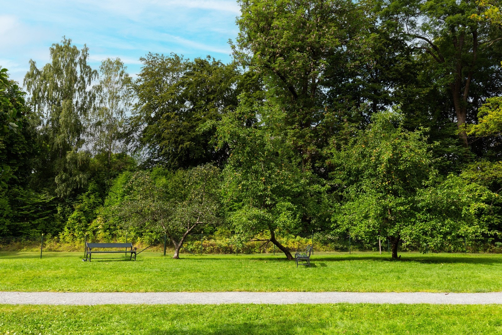 Den Engelske Park med epletrær. Galleribilde