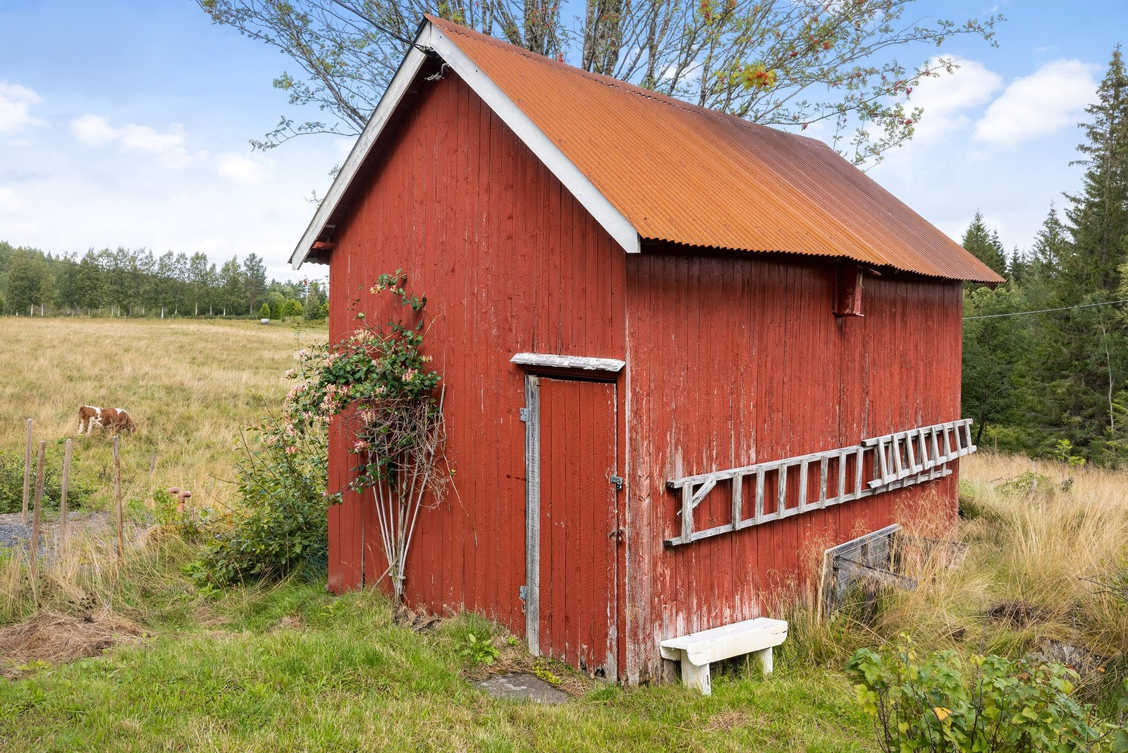Uthus av eldre årgang er oppført på eiendommen. Galleribilde