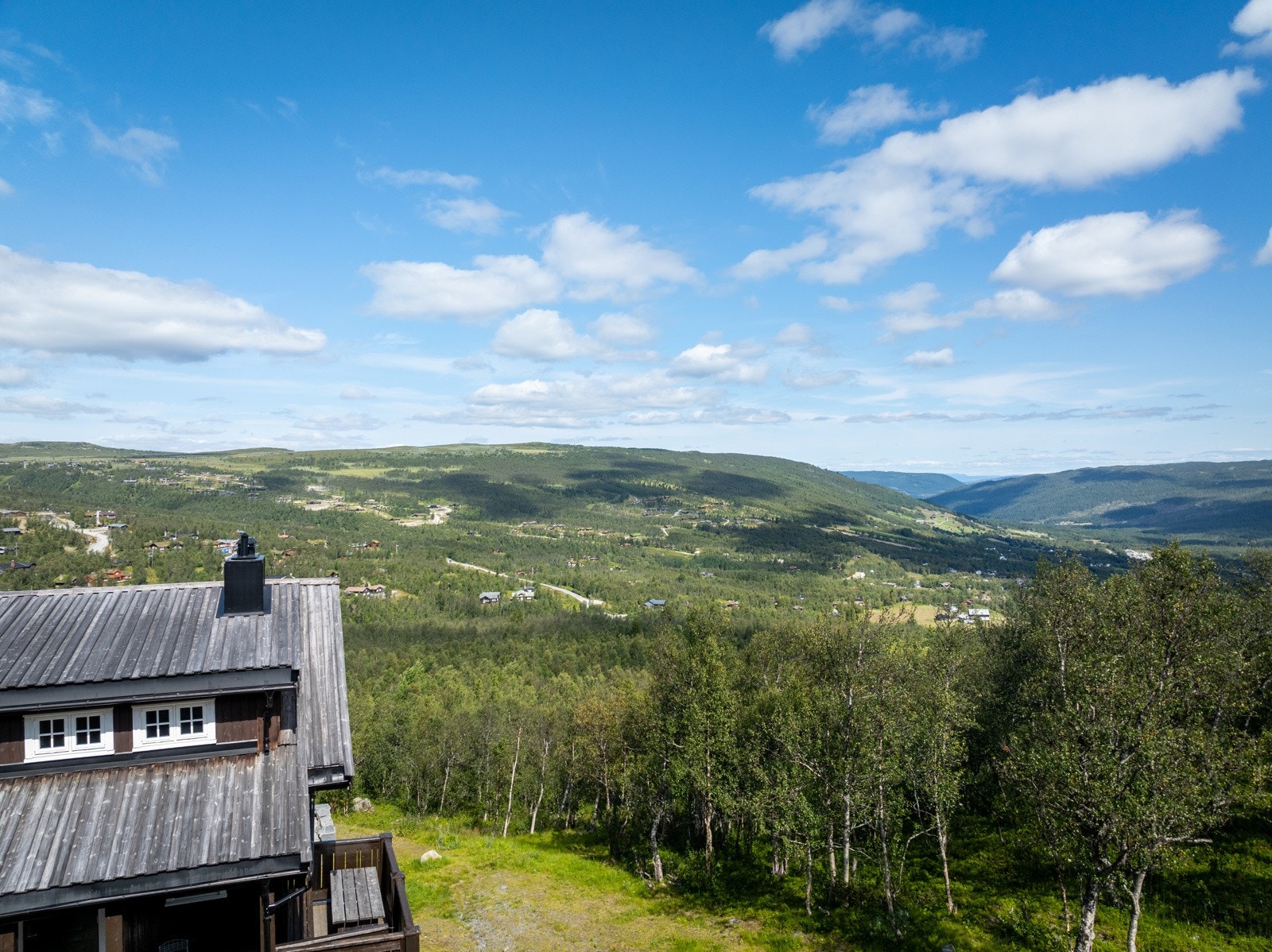 ...så langt øyet kan se Galleribilde