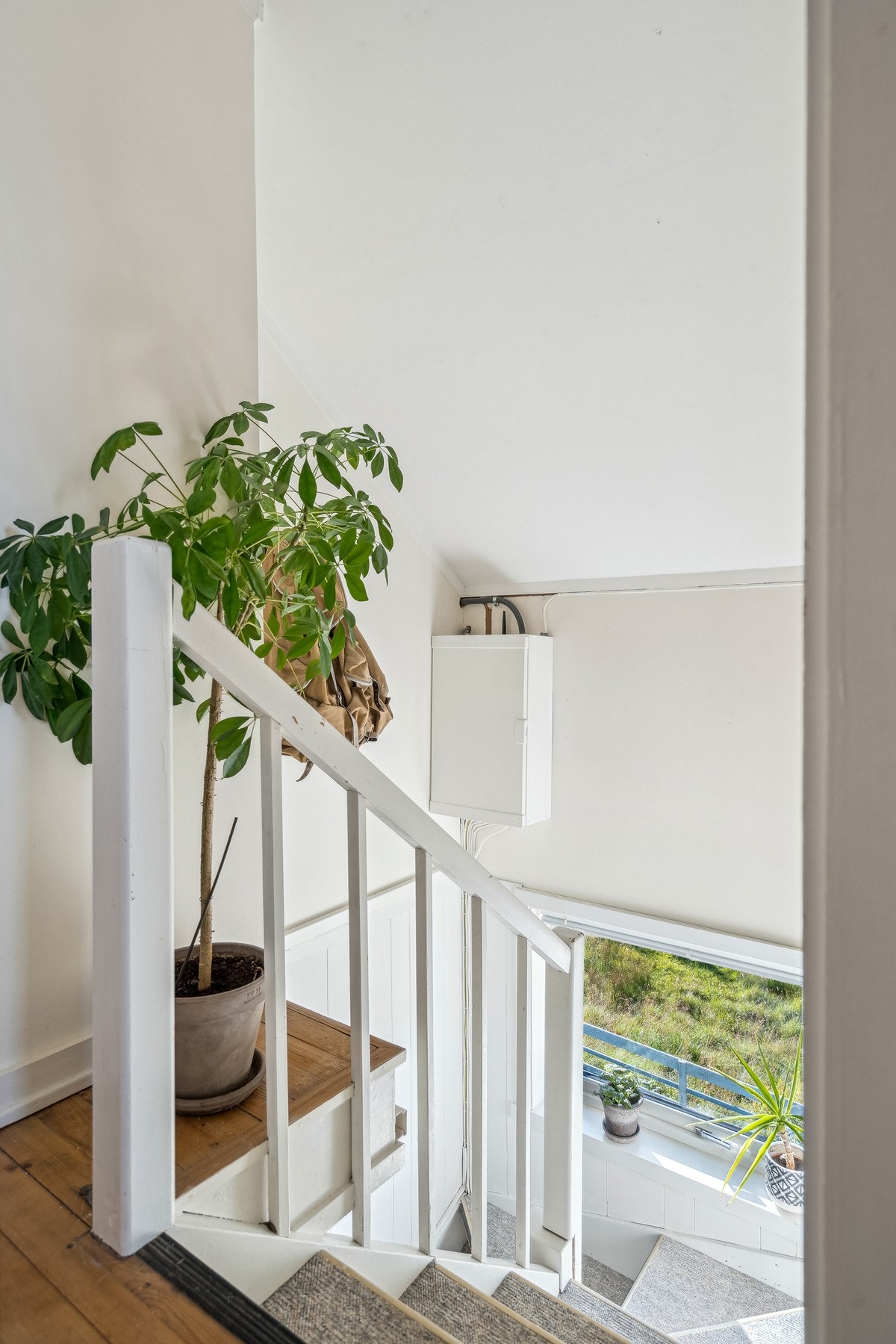 Vindu i trappeoppgangen. Galleribilde