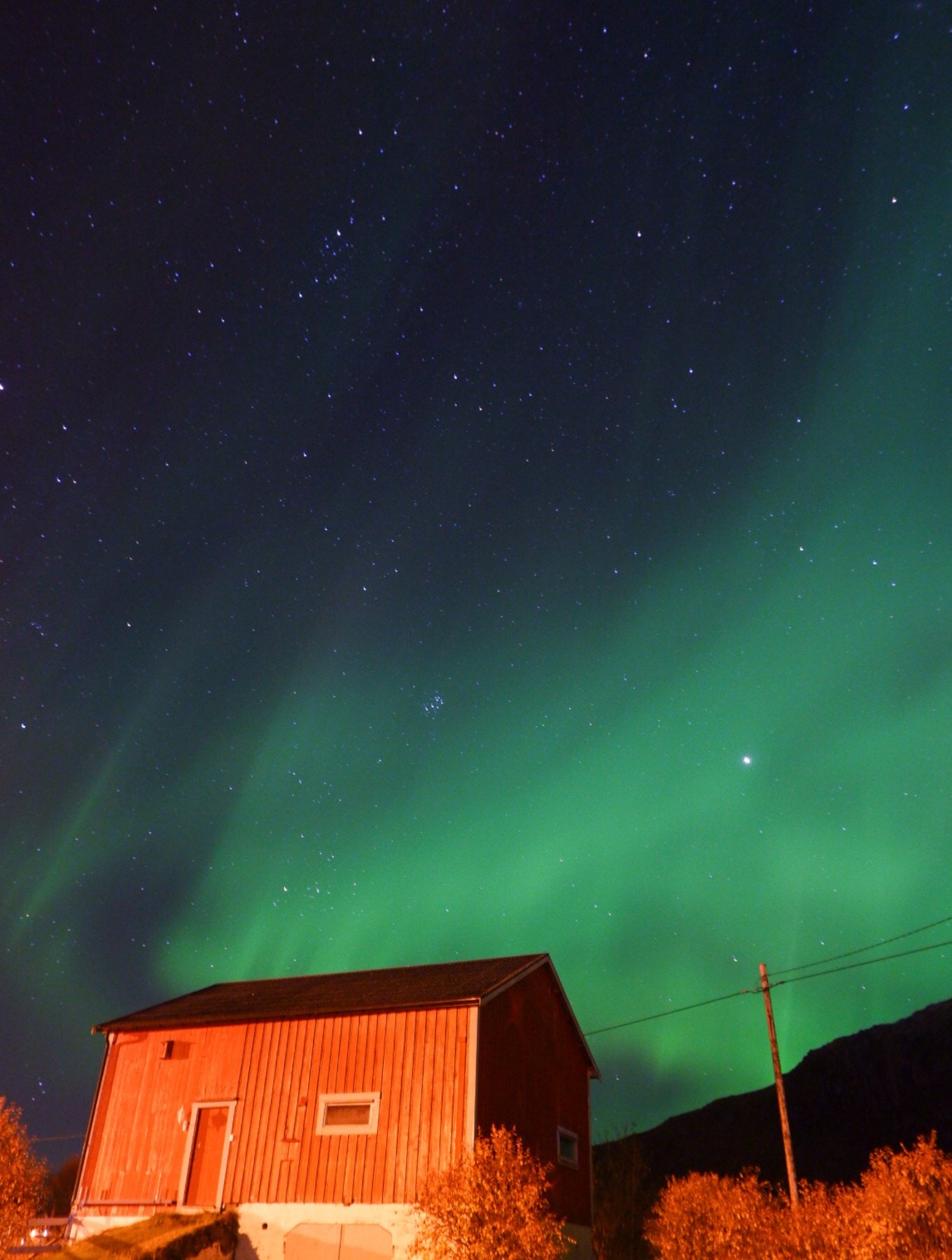 Selgers private bilde. Galleribilde