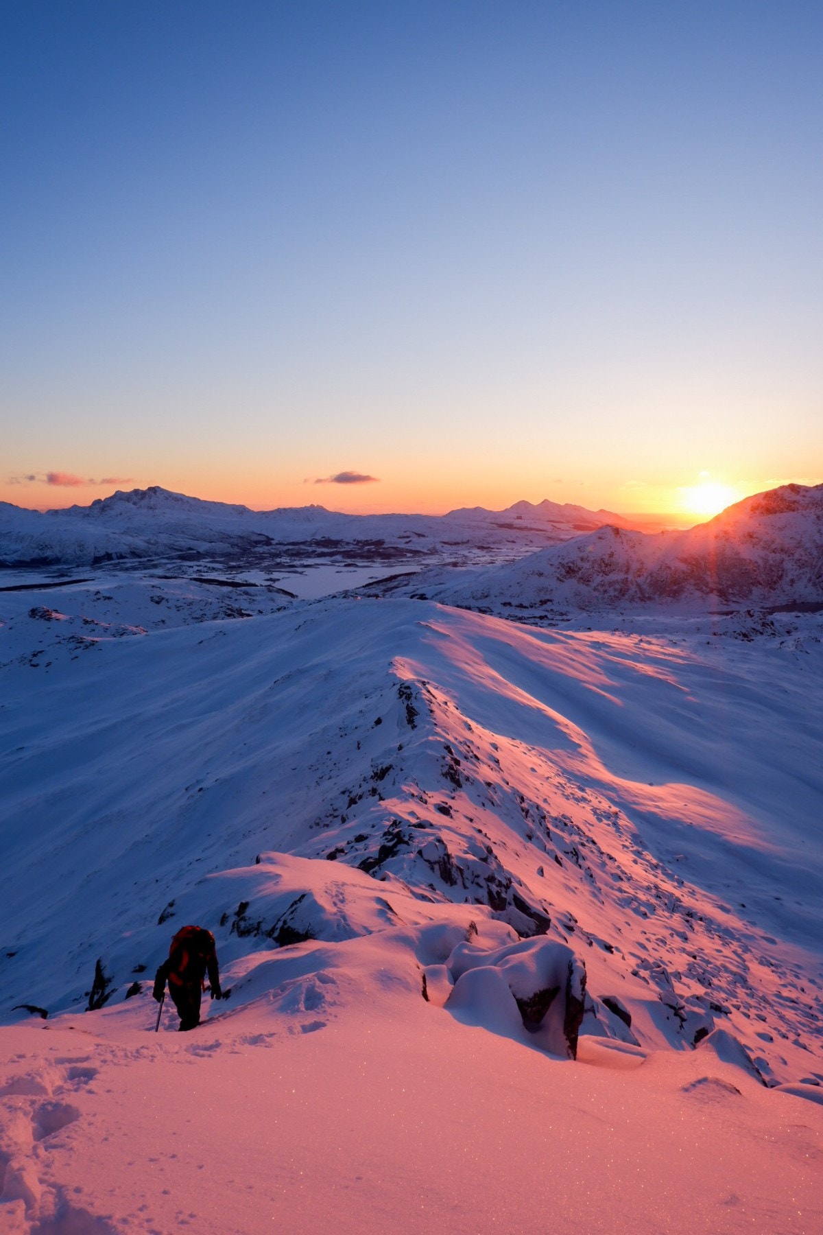 Selgers private bilde. Galleribilde