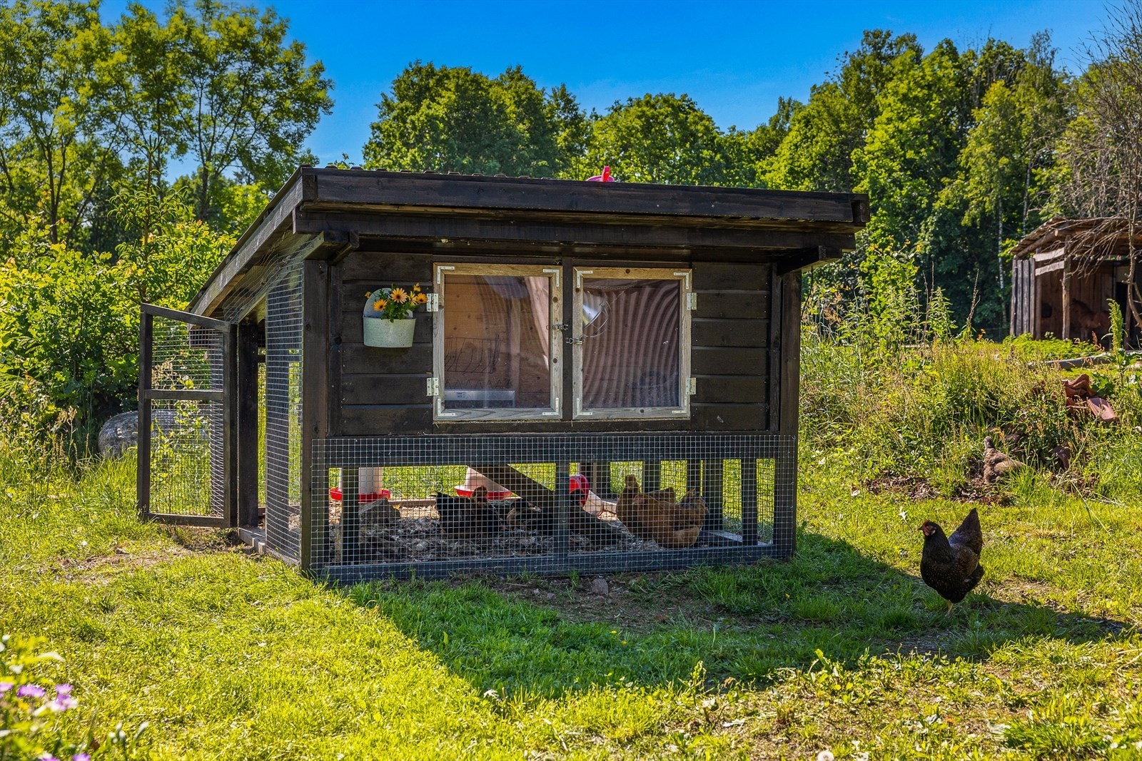 Hønsehuset medfølger ikke eiendommen. Galleribilde