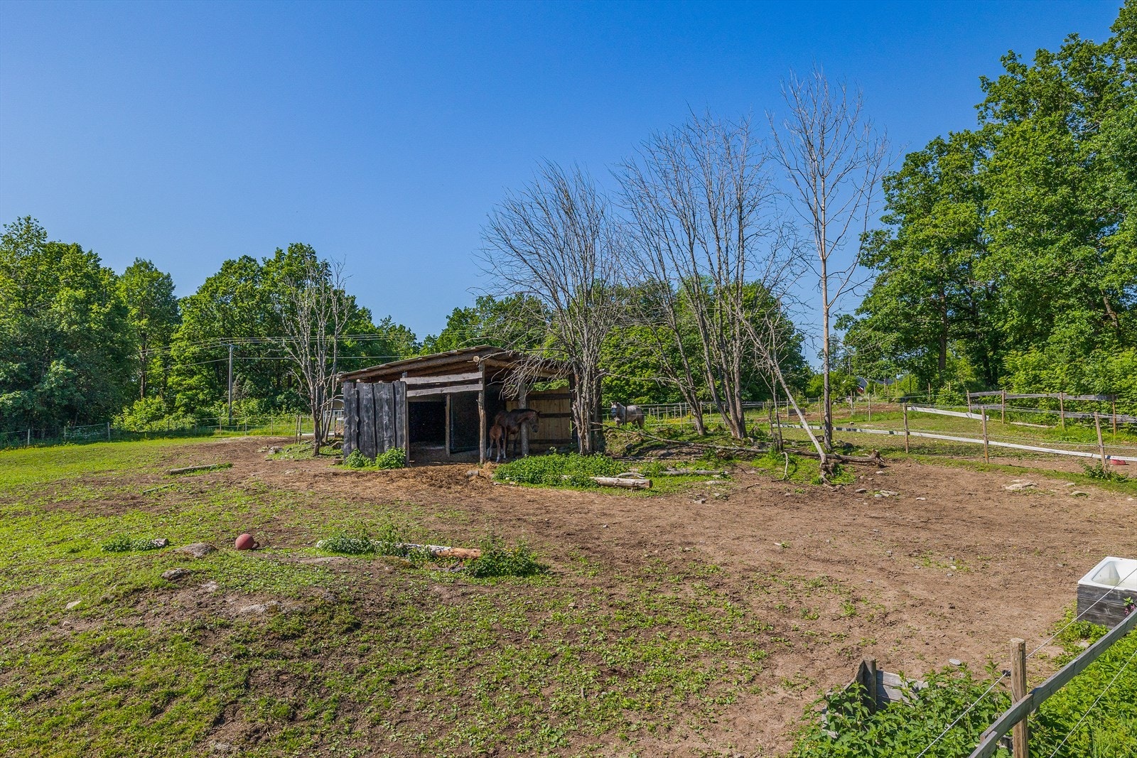 Jordbruksarealene ligger for det meste rundt tunet, og benyttes til hestebeiter. Galleribilde