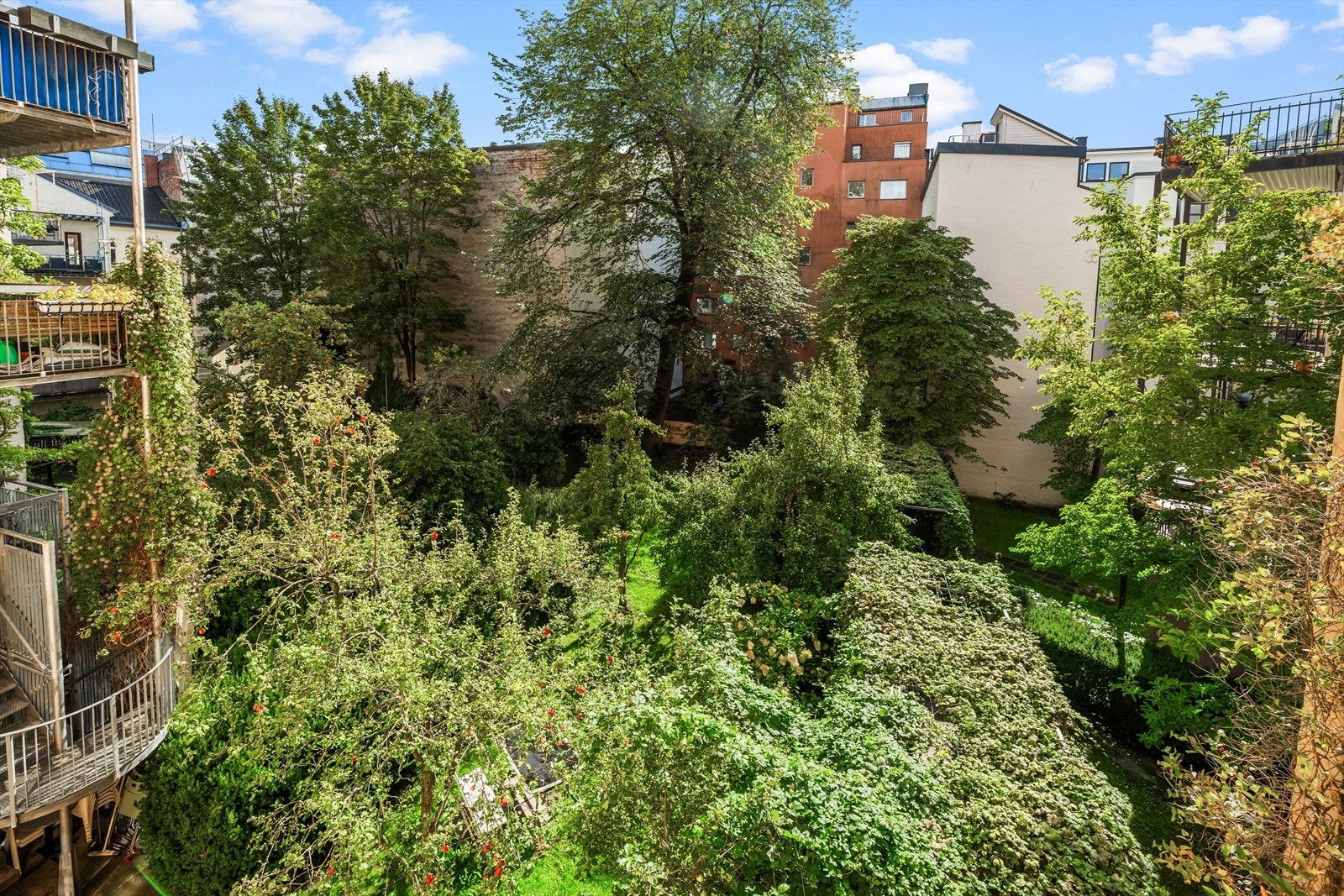 Utsikt fra balkongen mot den svært frodige bakgården med trær, beplantning, plen og sittegrupper. Galleribilde
