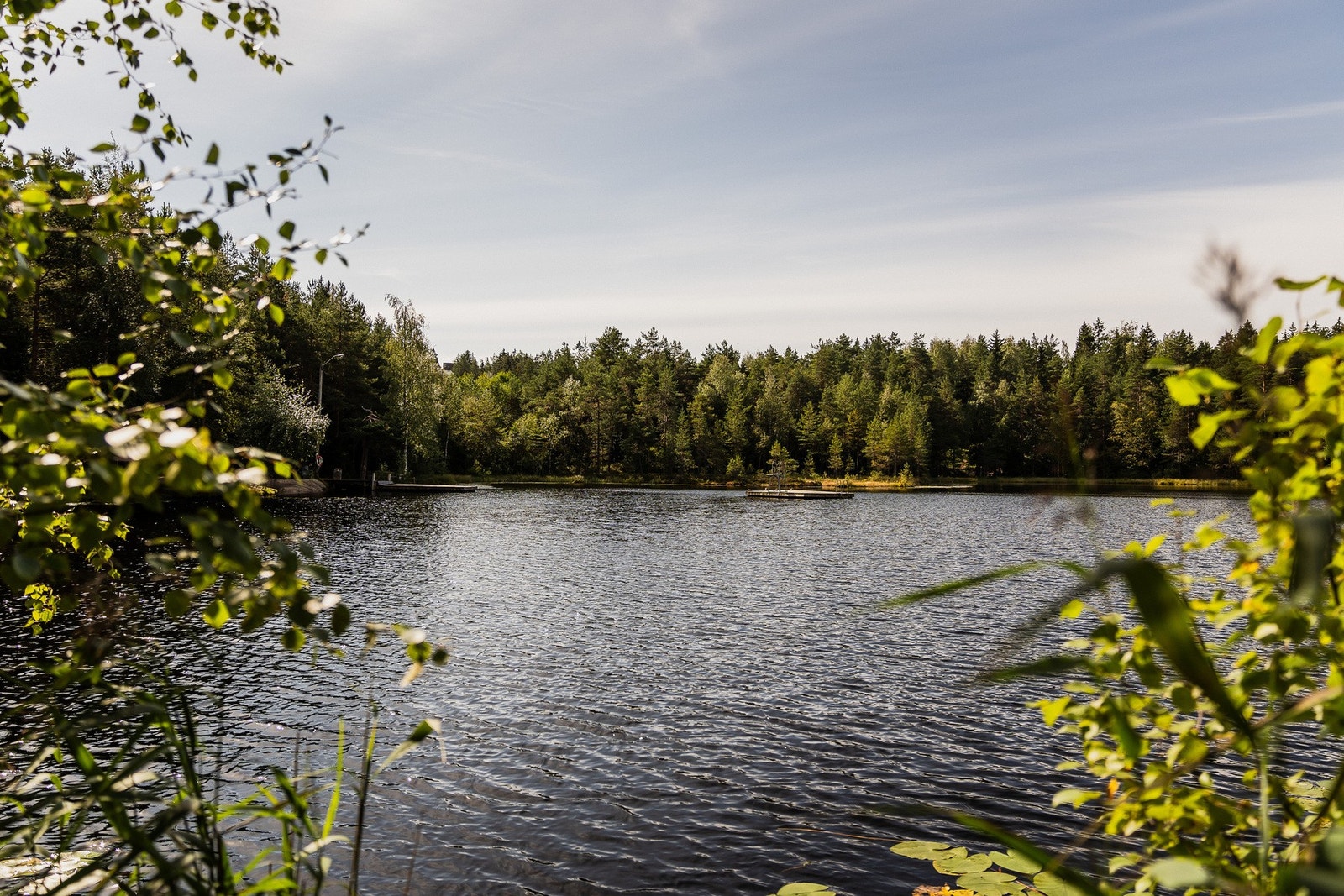 Kort vei til hyggelige bade- og fiskevann. Galleribilde