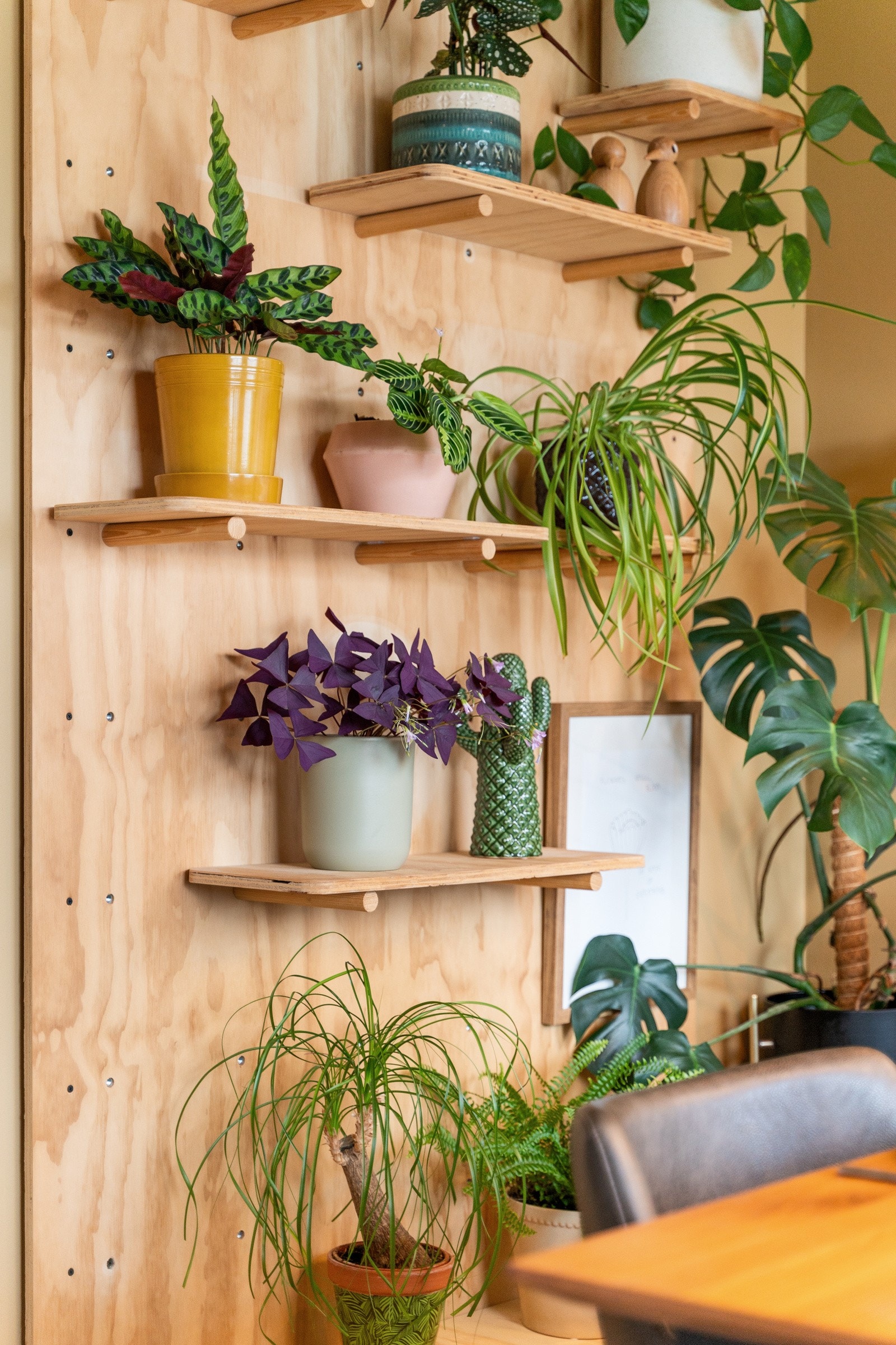 Legg merke til detaljene! Galleribilde