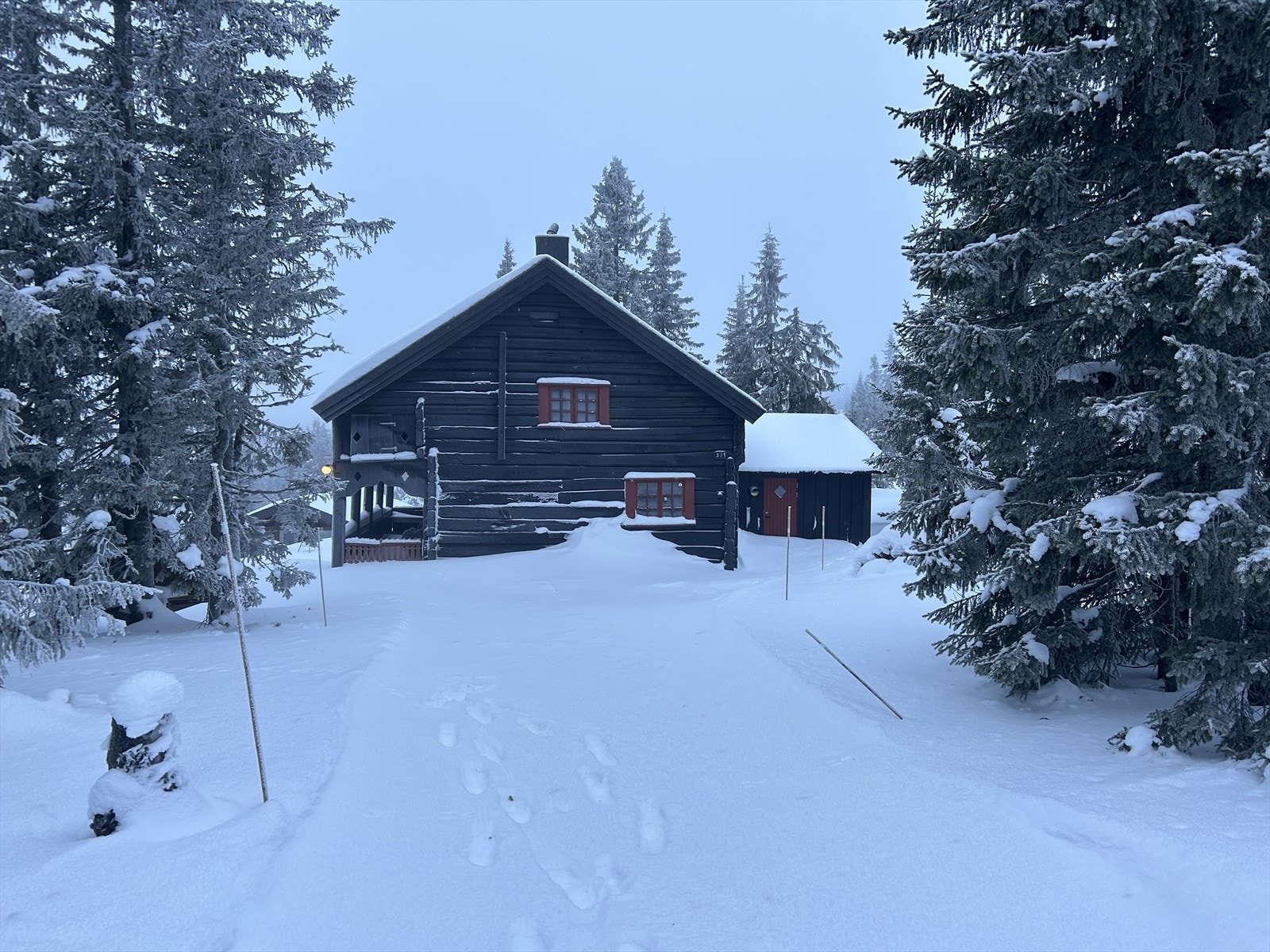 IMG_1085.jpeg Galleribilde