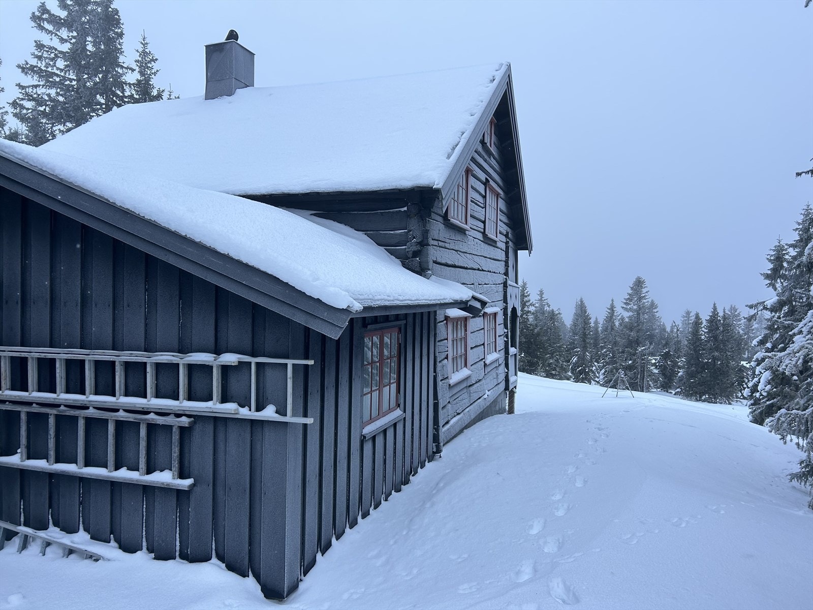 IMG_1092.jpeg Galleribilde