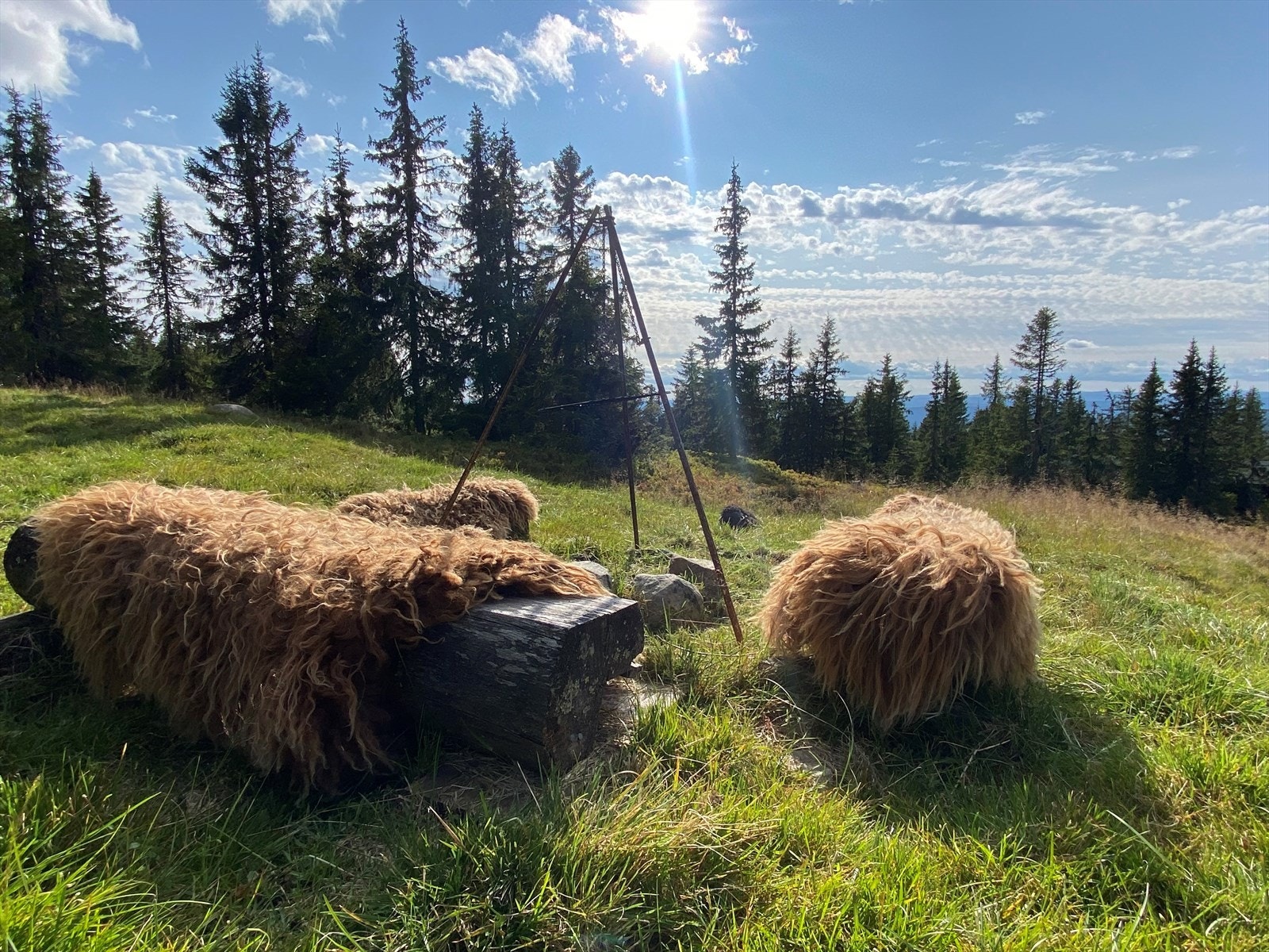 Hytta ligger på 2 dekar stor festet tomt med gode sol- og lysforhold samt fin utsikt mot fjellandsskapet rundt. Galleribilde