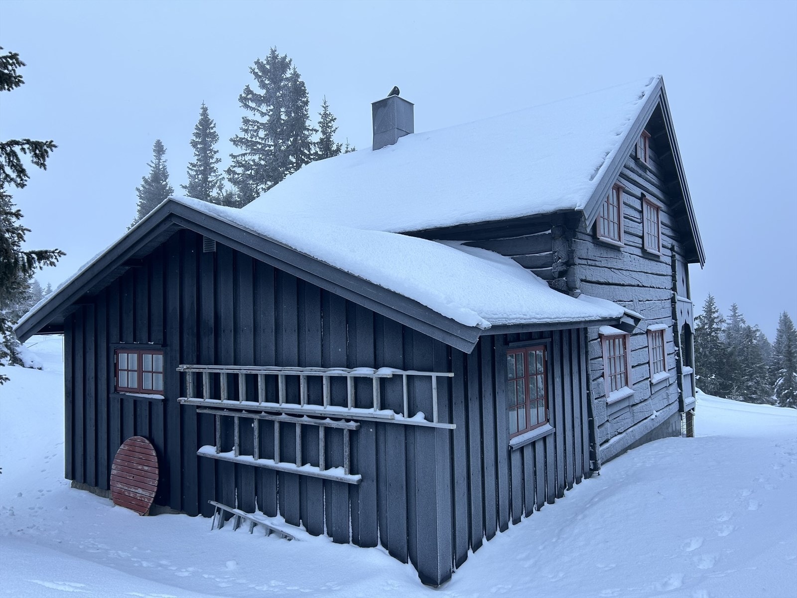 IMG_1091.jpeg Galleribilde