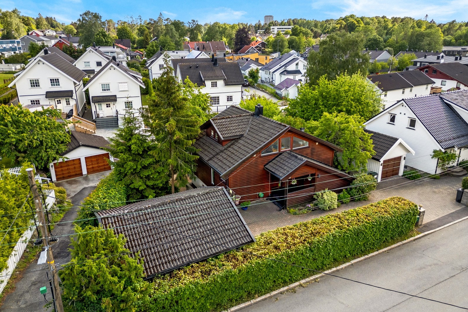 Tomten er en skjermet idyll med frodig hage Galleribilde