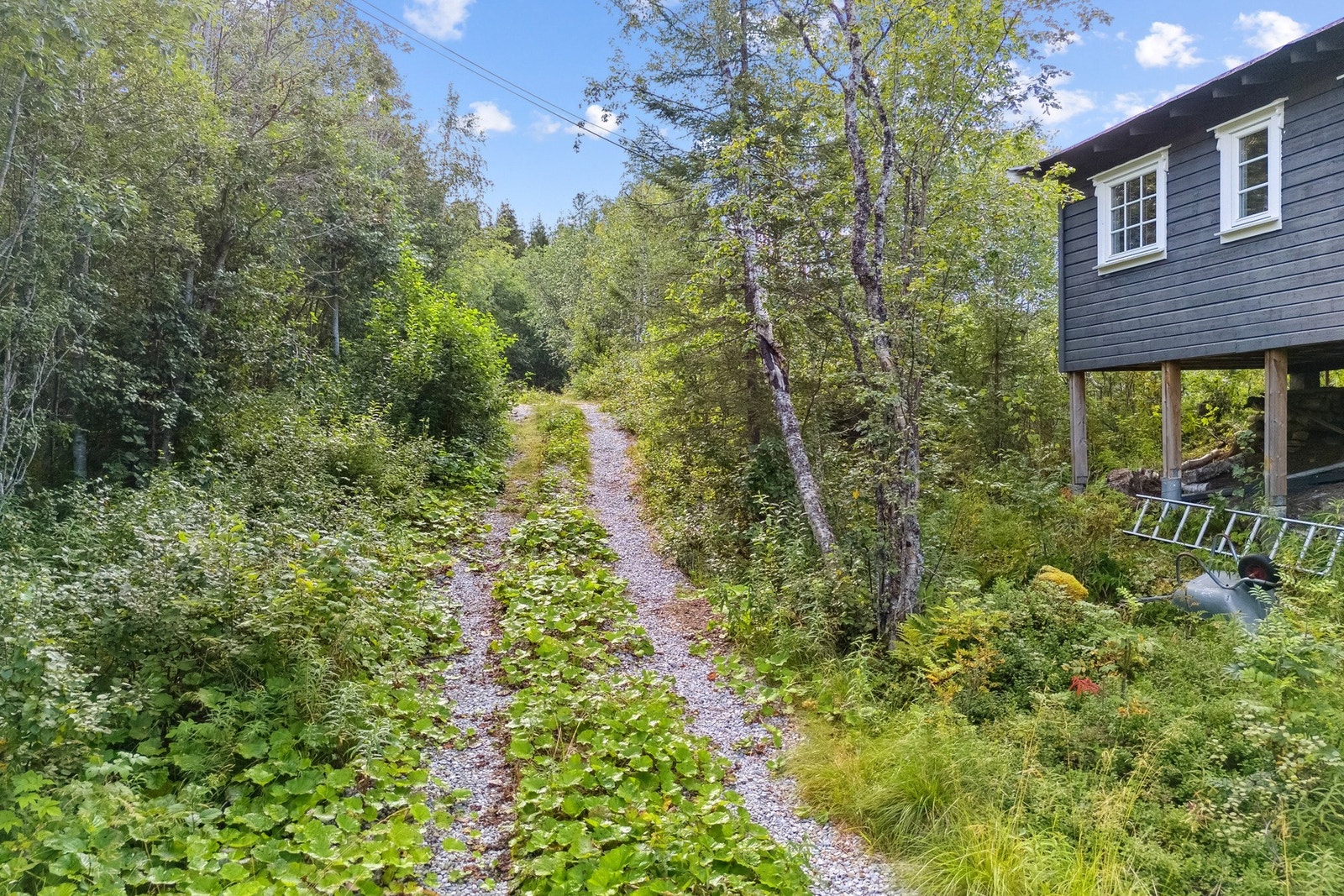 Adkomsten fra parkeringen Galleribilde