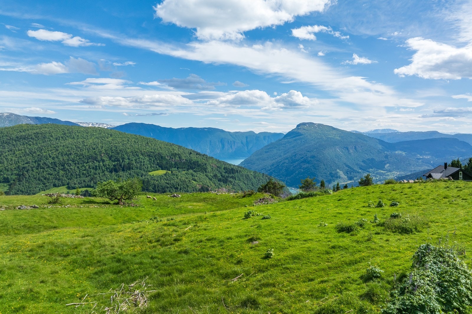 Utsikt mot Molden Galleribilde