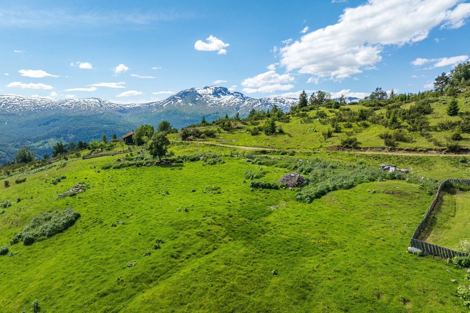 Om sommaren kan ein nyte sol til ca. kl. 22 om kvelden Galleribilde