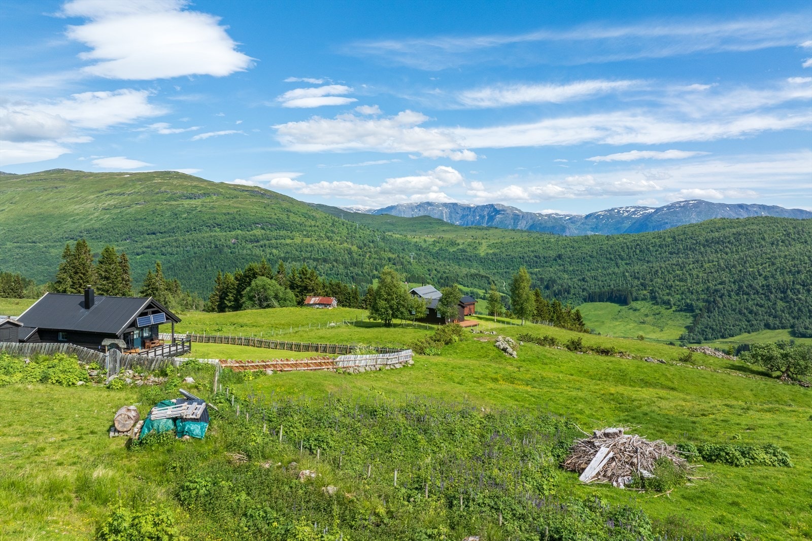 Området har også gode forekomstar av blåbær, tyttebær og molte. Galleribilde