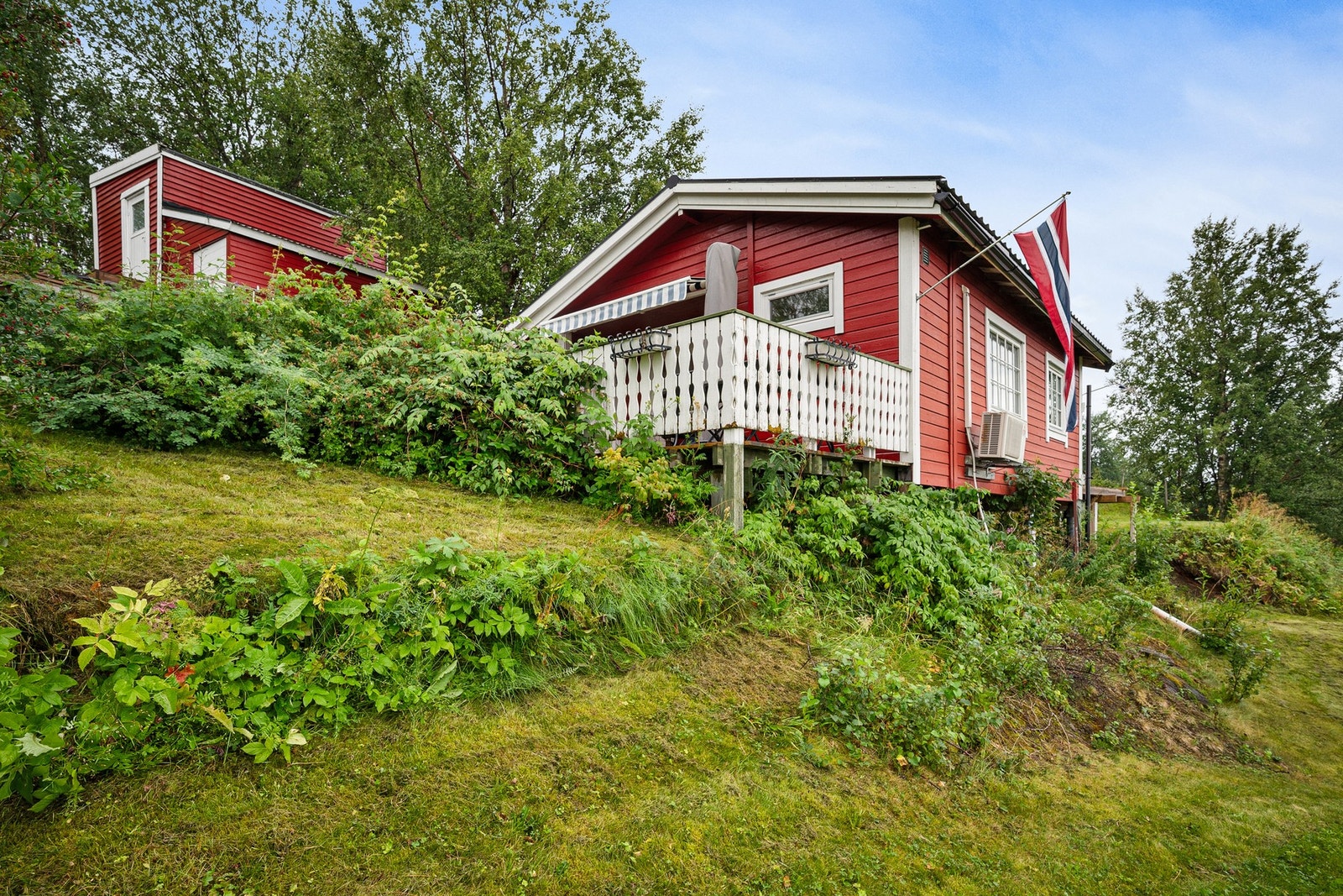 Velholdt og pent uteområde med gressplen og ulik beplantning Galleribilde