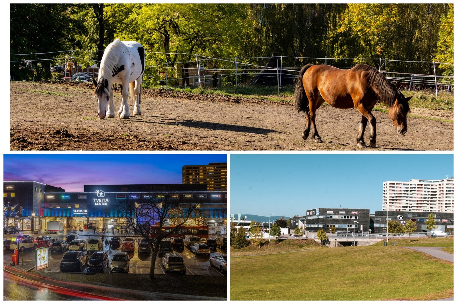 Alt rett i nærheten! Senter, kollektivtrafikk, gym, østmarka, til og med flybussen! Galleribilde