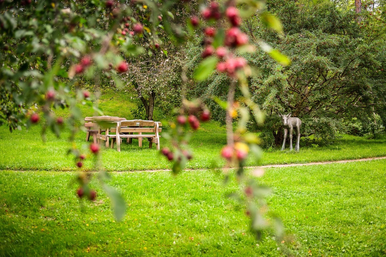 Vel opparbeidede felles arealer med sittegruppe, statuer, frukttrær og bærbusker. Galleribilde