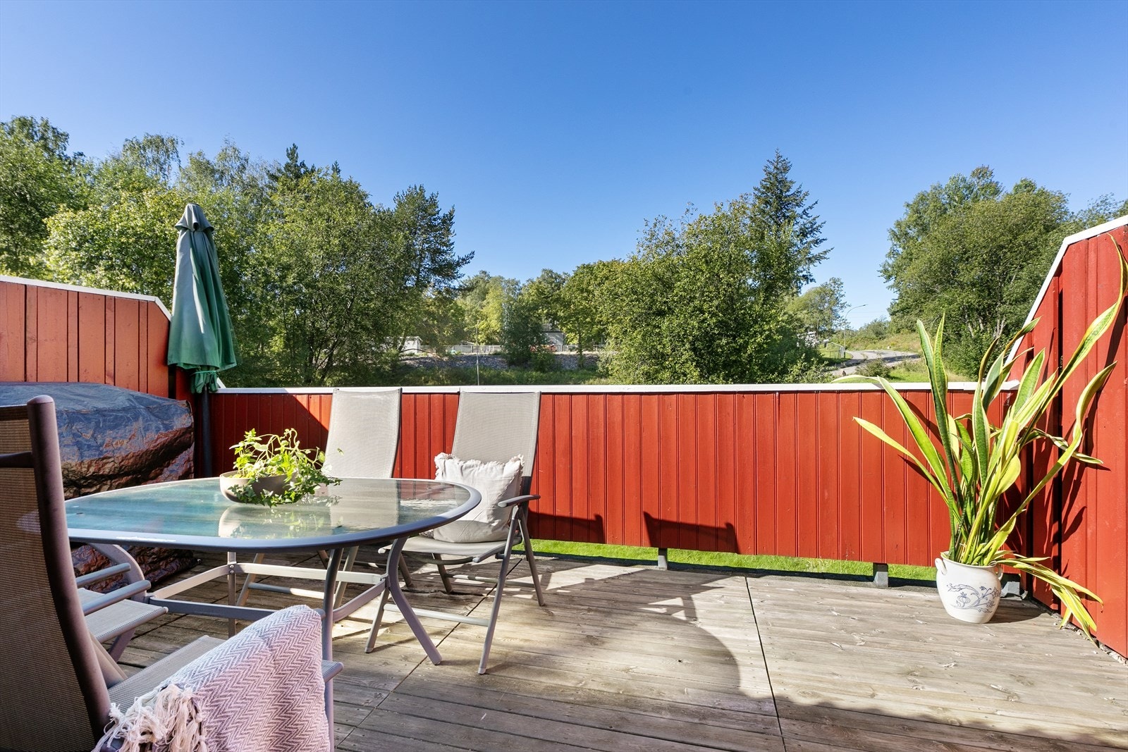 Romslig terrasse med utsikt mot grønne omgivelser. Galleribilde