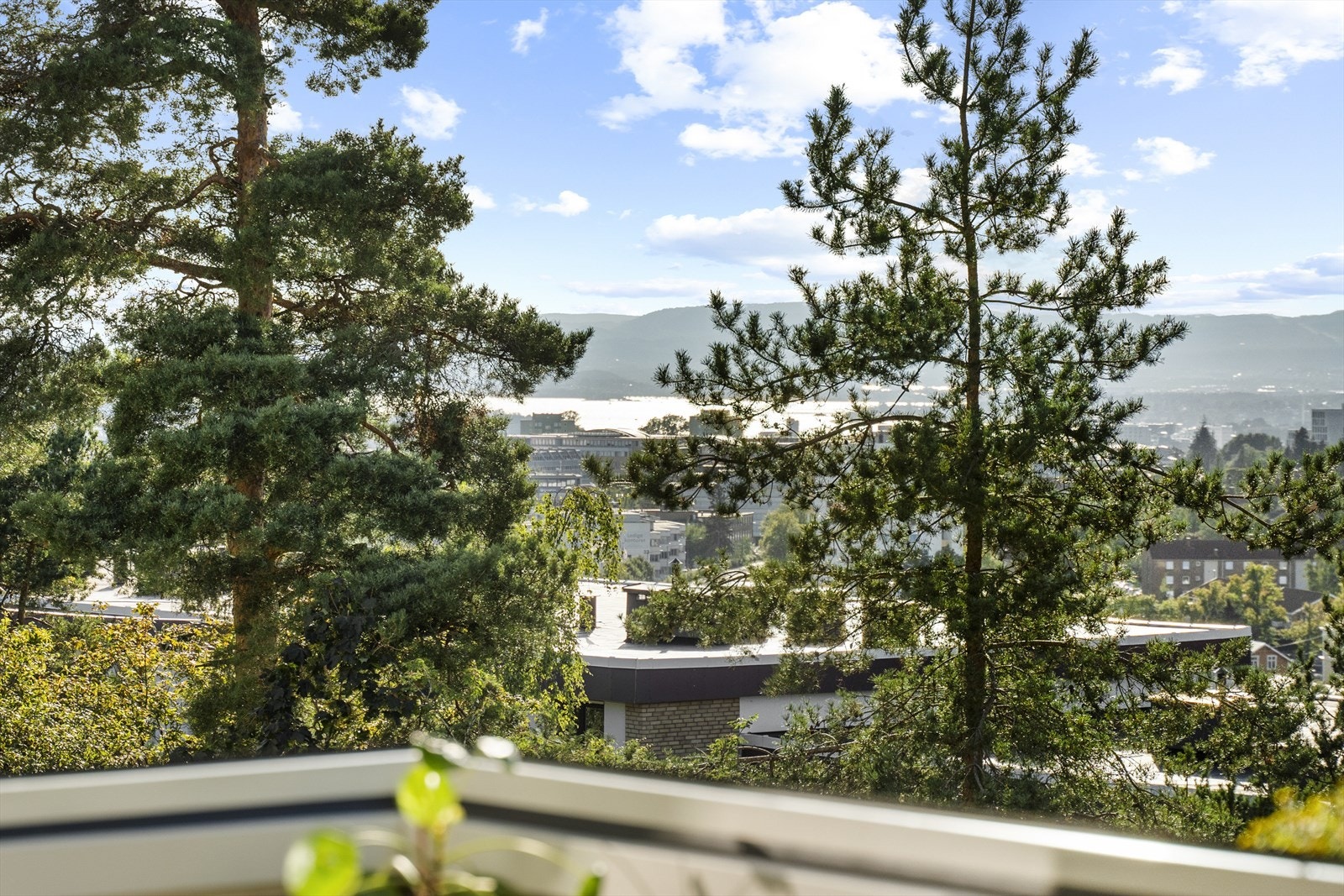 Utsikt til fjorden! Galleribilde
