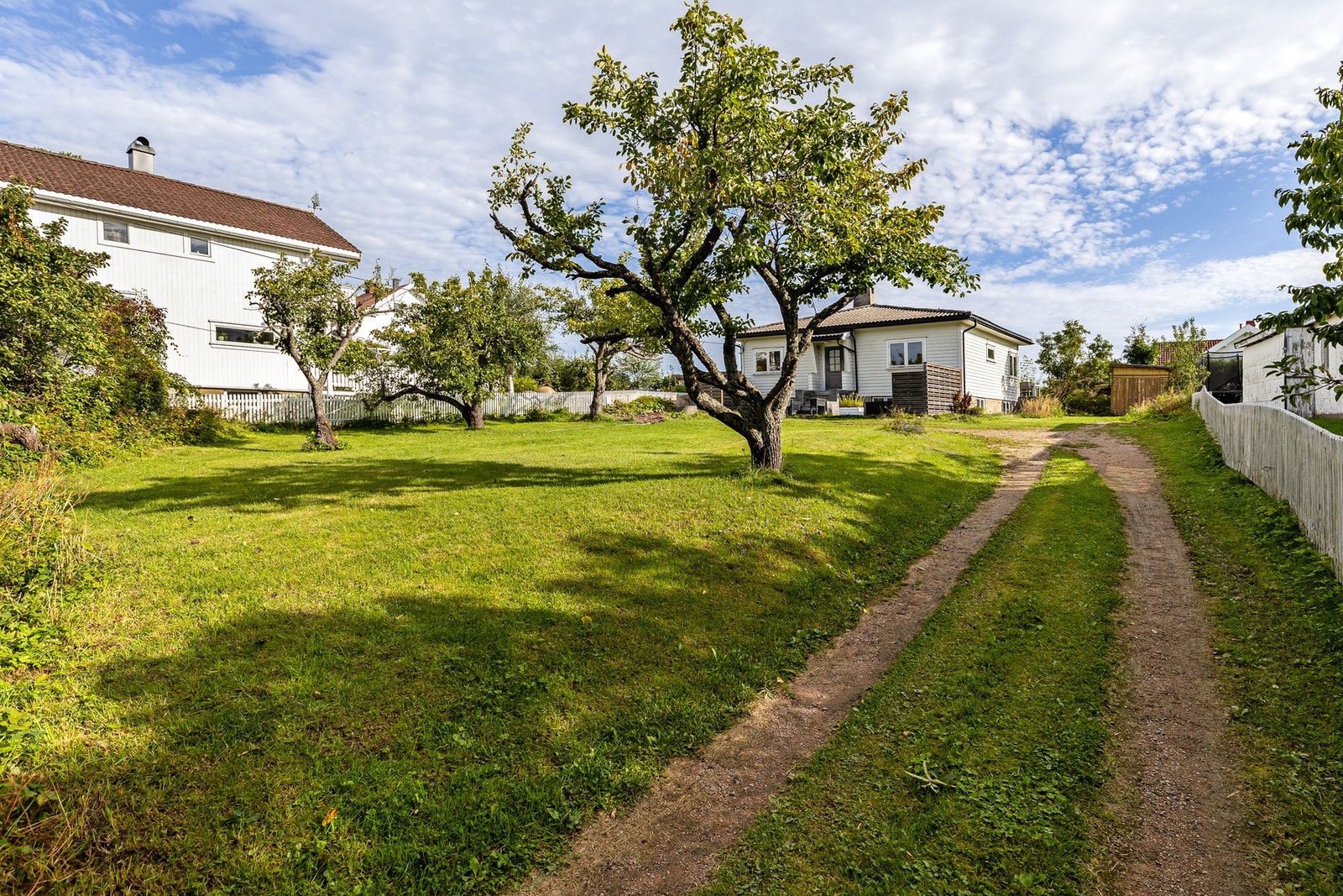 Frodig hage med flust av frukt og bærbusker Galleribilde