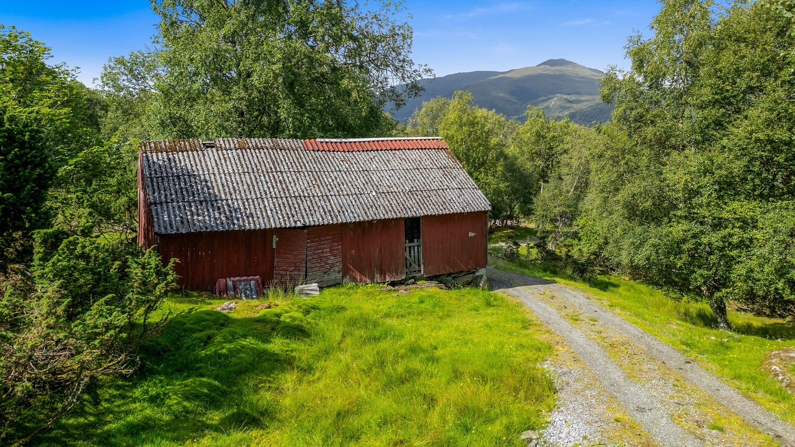 Løde følger sjølvsagt med på eit småbruk Galleribilde